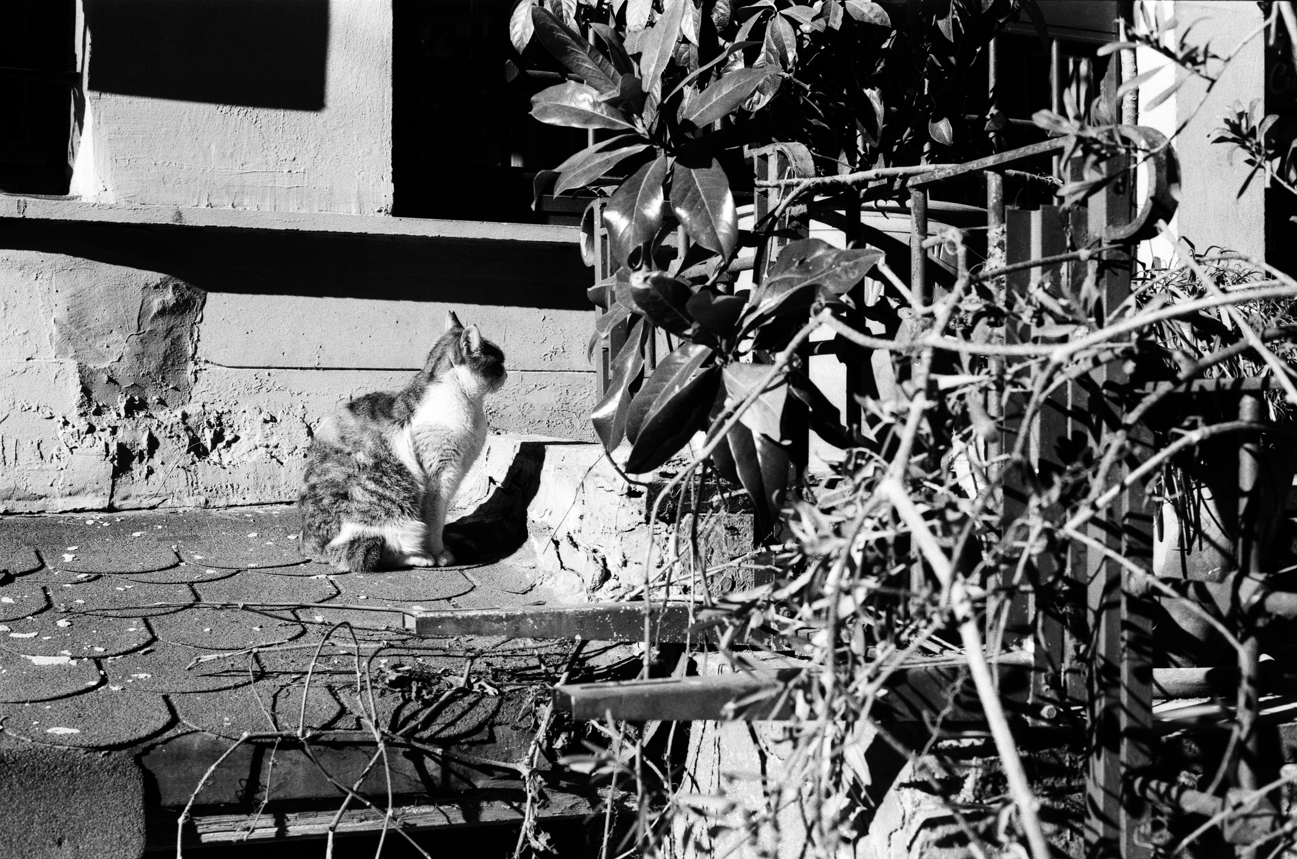 Complicated // turkey, istanbul V. EVER EXPOSED