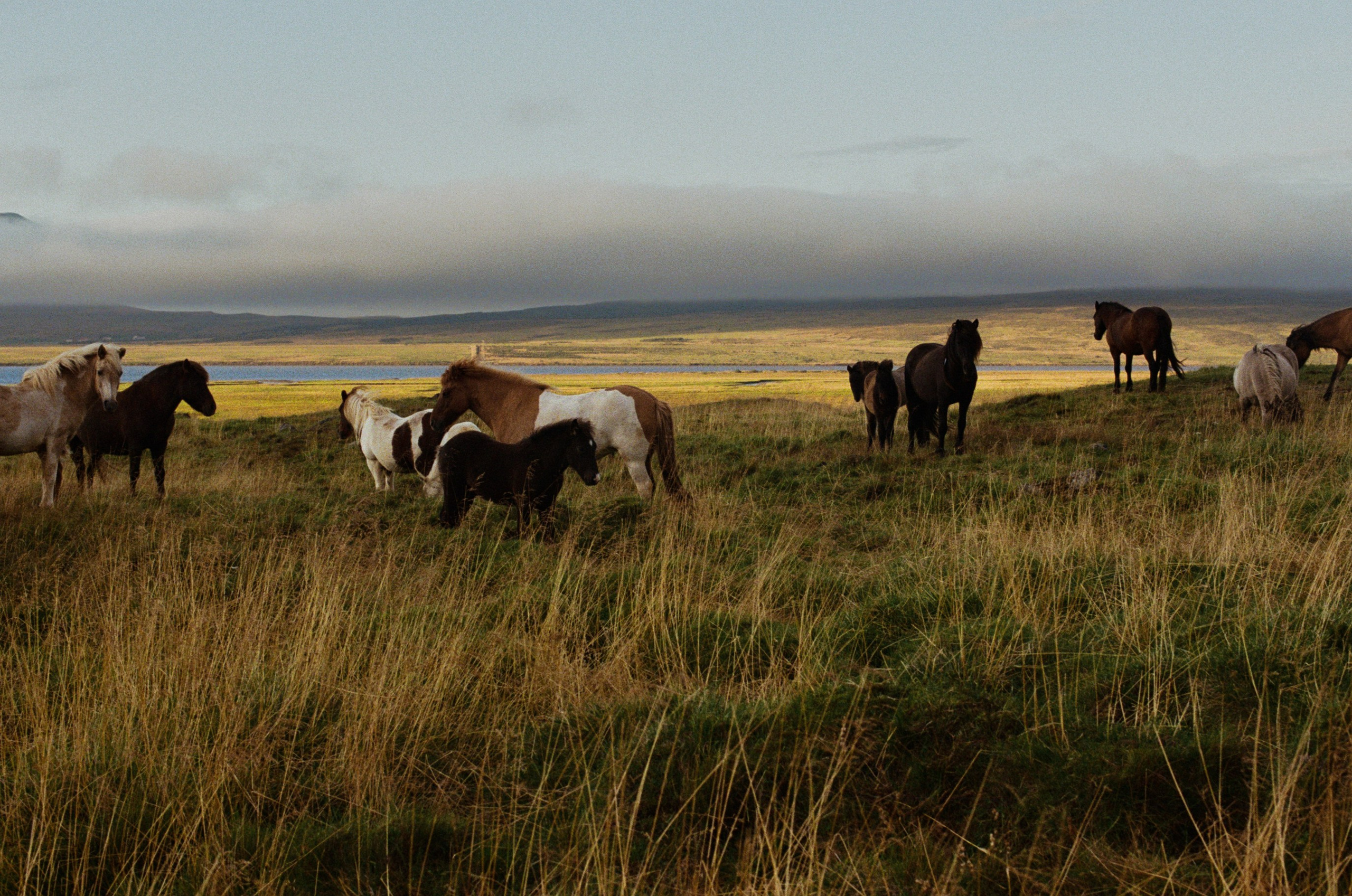 Unravelling // iceland, 724 II. EVER EXPOSED