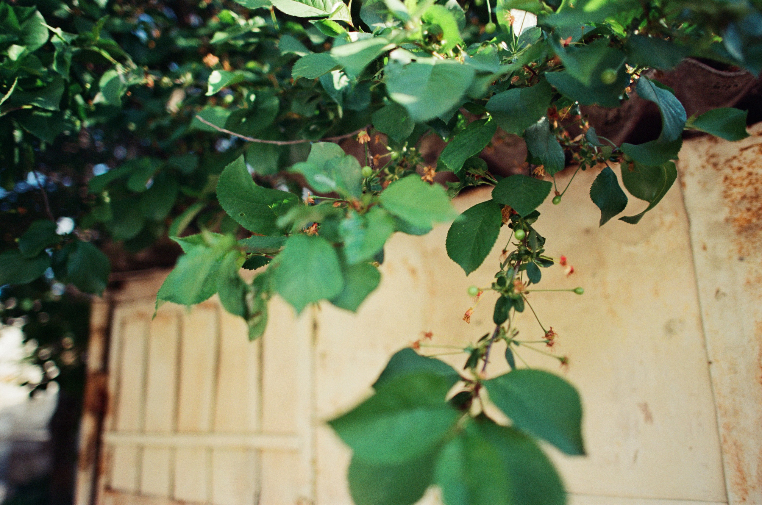 Press enter to exit // ukraine, crimea III. EVER EXPOSED