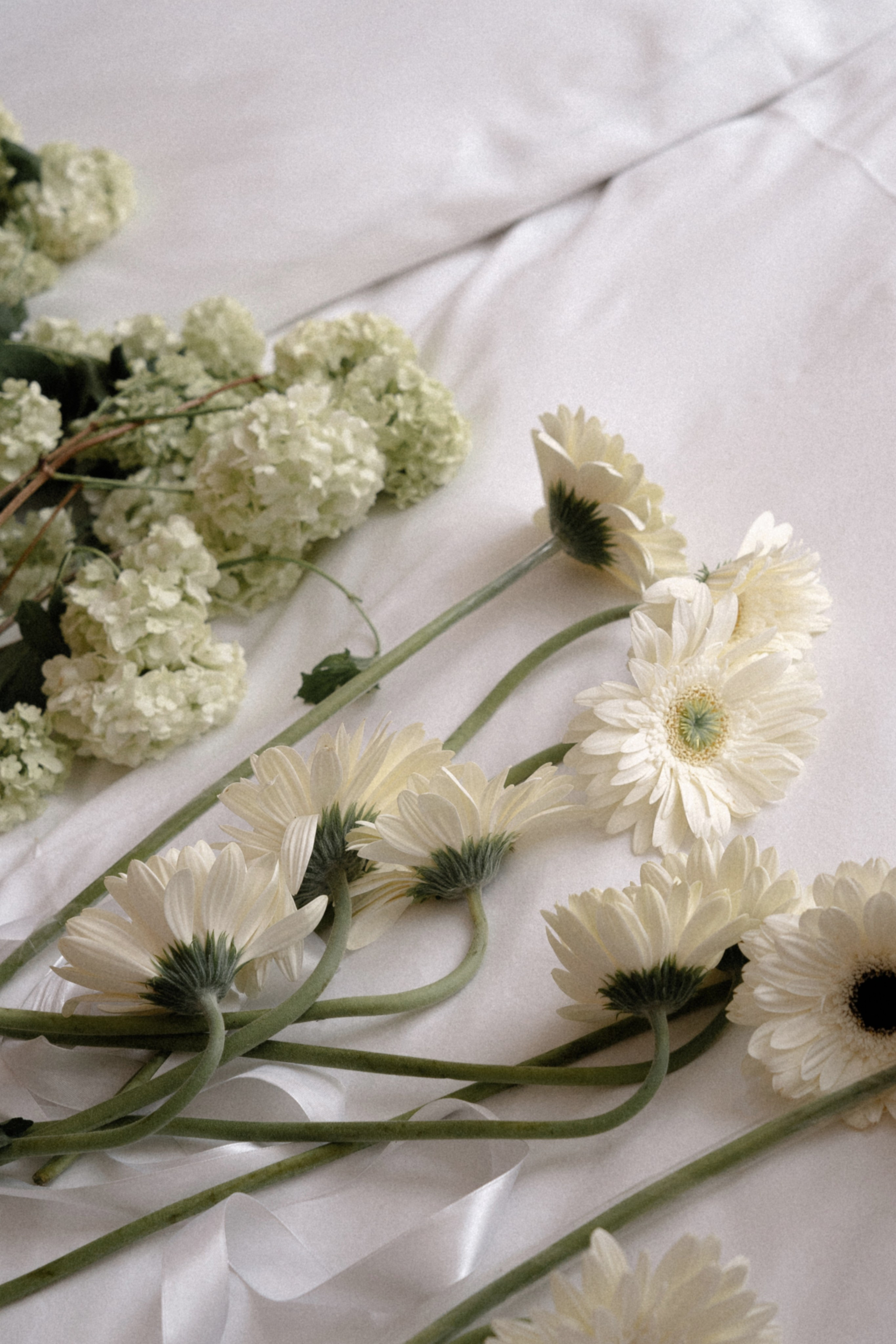 Грузинские каникулы. Семейный и портретный фотограф в Саратове Сахарова Маша