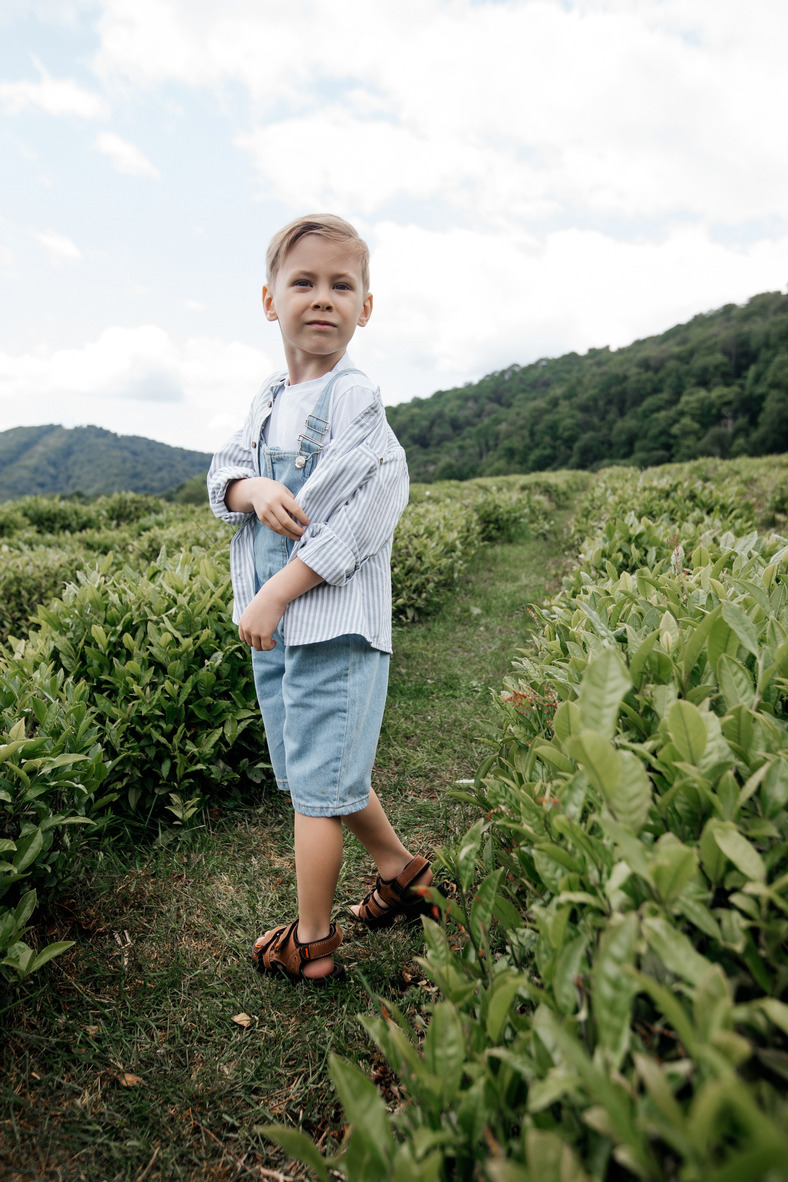 Tea plantation. Efimova Model Agency