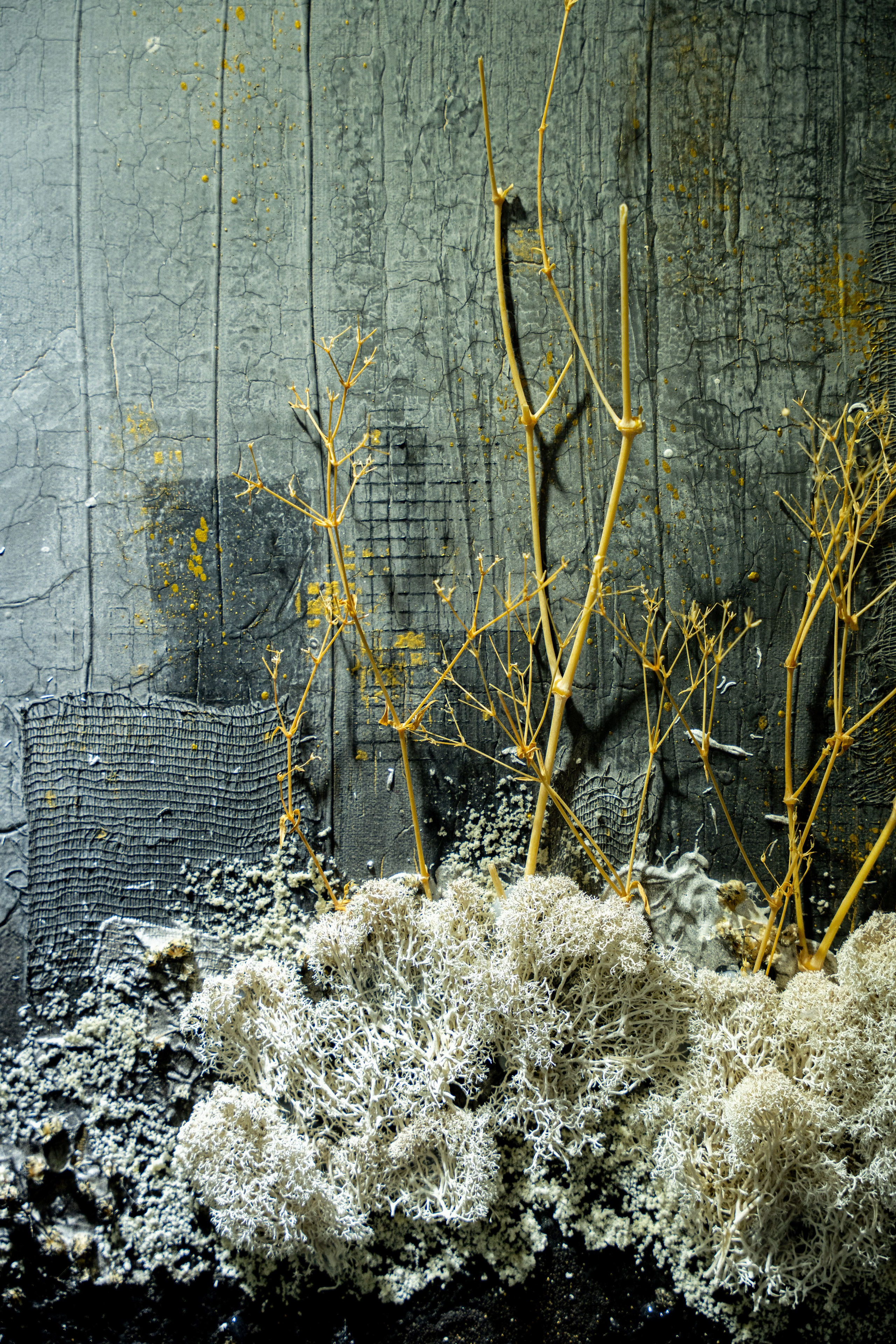 ЛЕС Авторский проект Юлии Якубович 04.11.2025. Портретный и репортажный фотограф в Москве Разуменко Роман