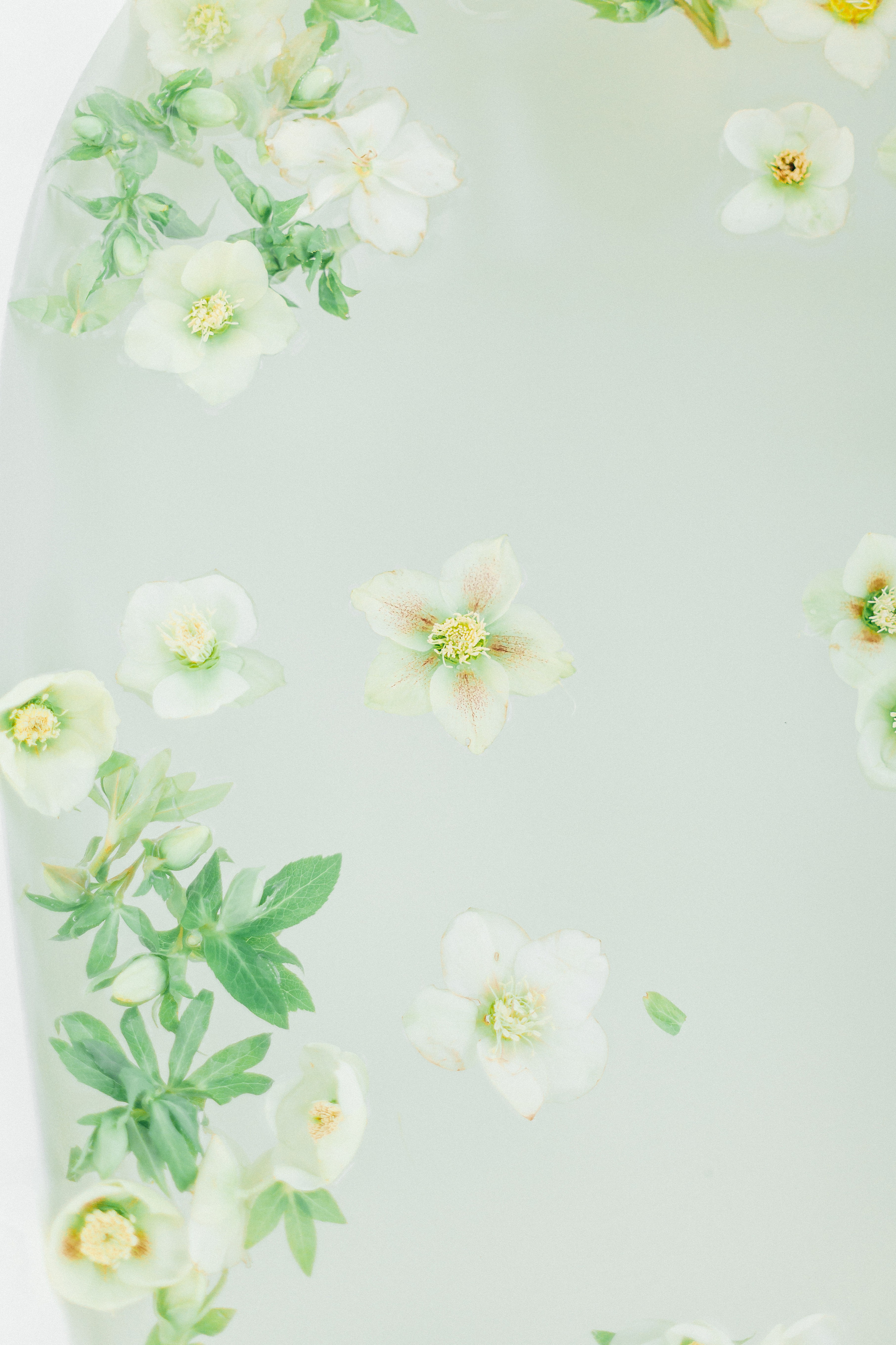 Динара. Свадебный Фотограф в Майкопе Полина Махонина