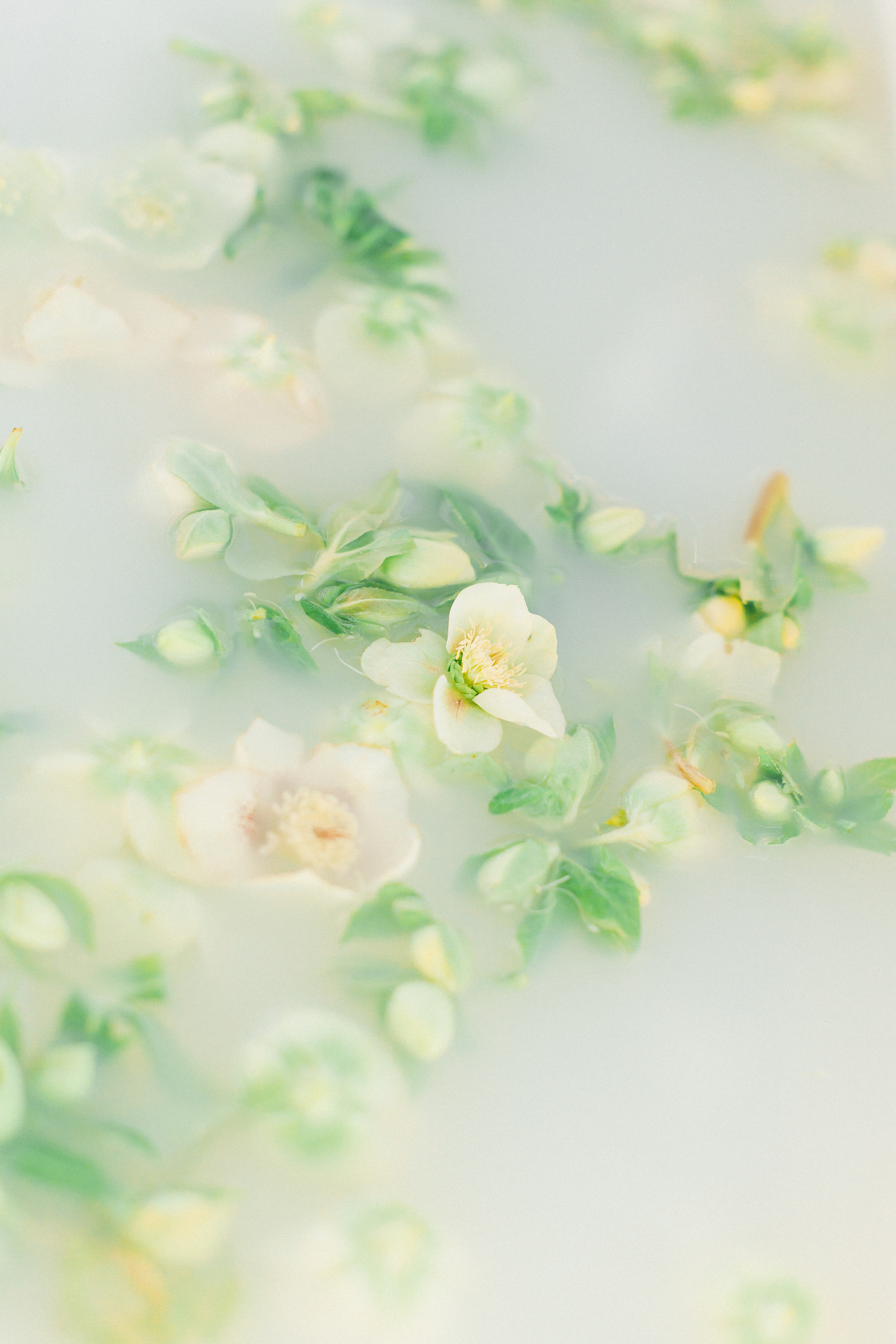 Динара. Свадебный Фотограф в Майкопе Полина Махонина