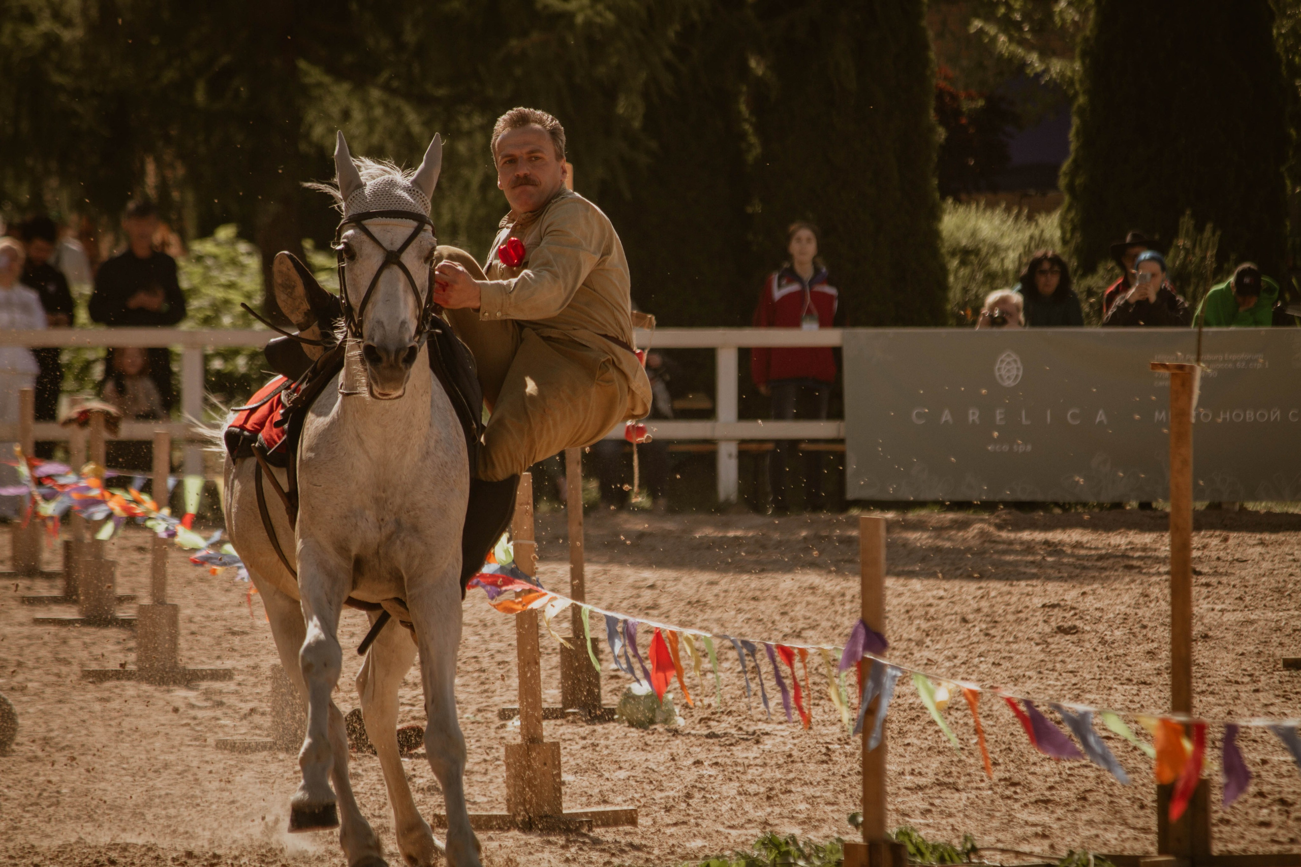 ИППОСФЕРА — Международная конная выставка. Создадим шедевр? Виталина и её фотоискусство