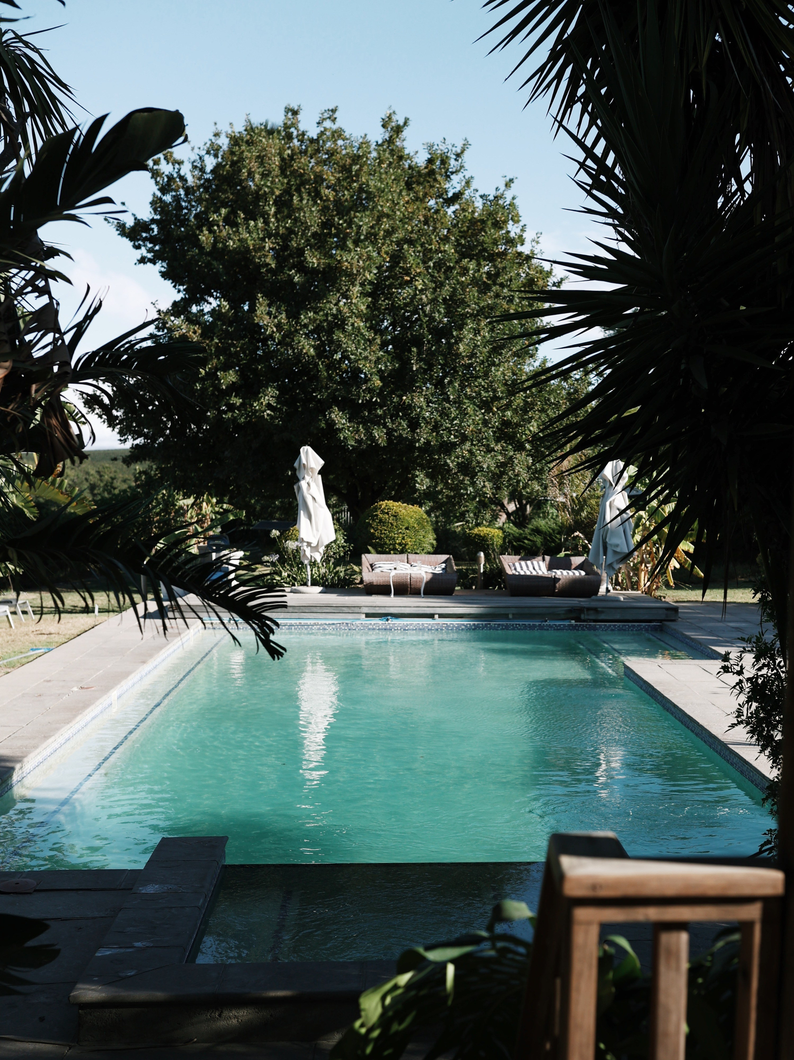 Stellenbosch • Wedgeview Country House & Spa. Ekaterina Buneeva Photography