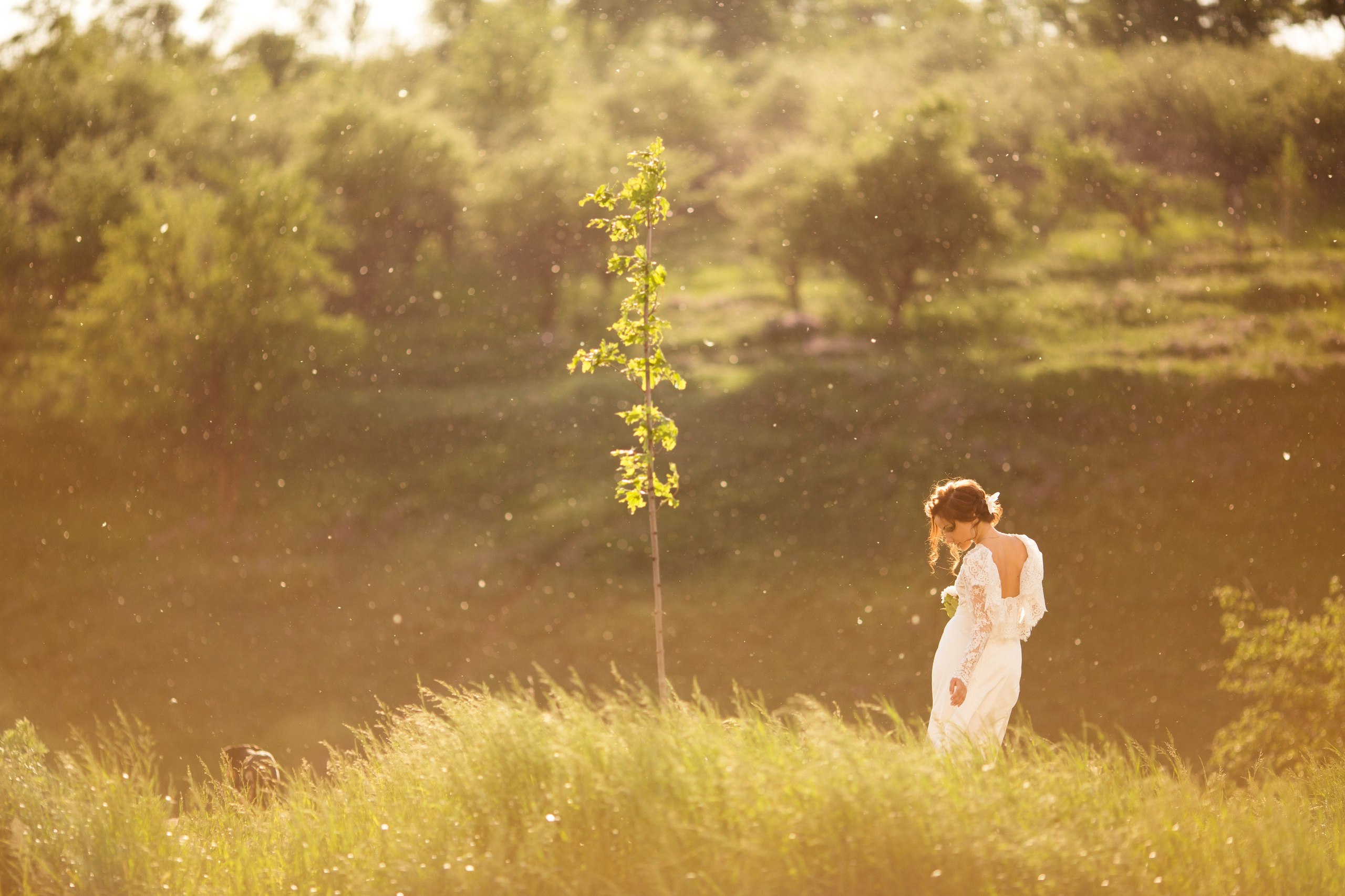 Екатерина и Александр. Фотограф Александра Рышкова