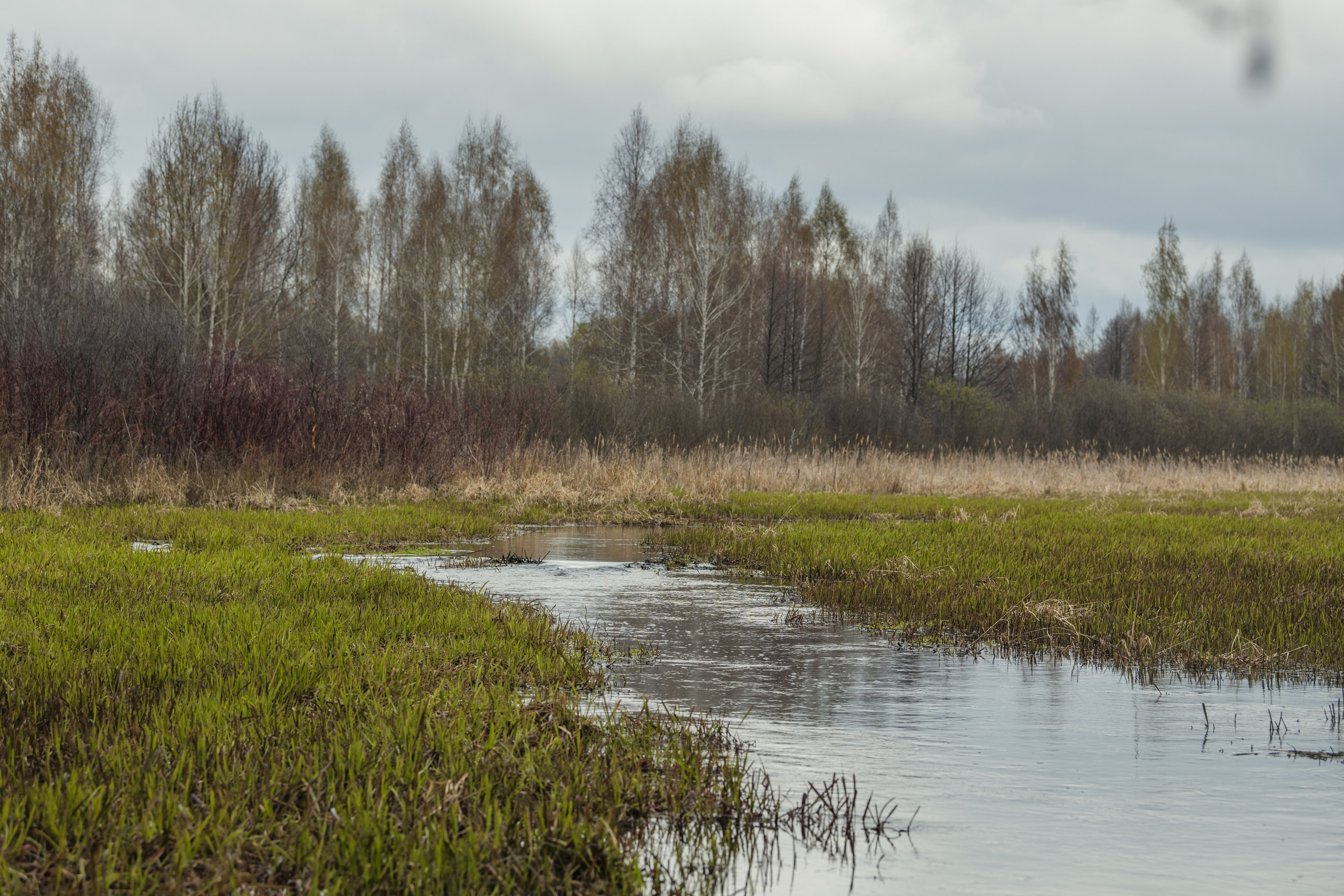 Разведка нового маршрута. Репортажный фотограф Владимир Беляй