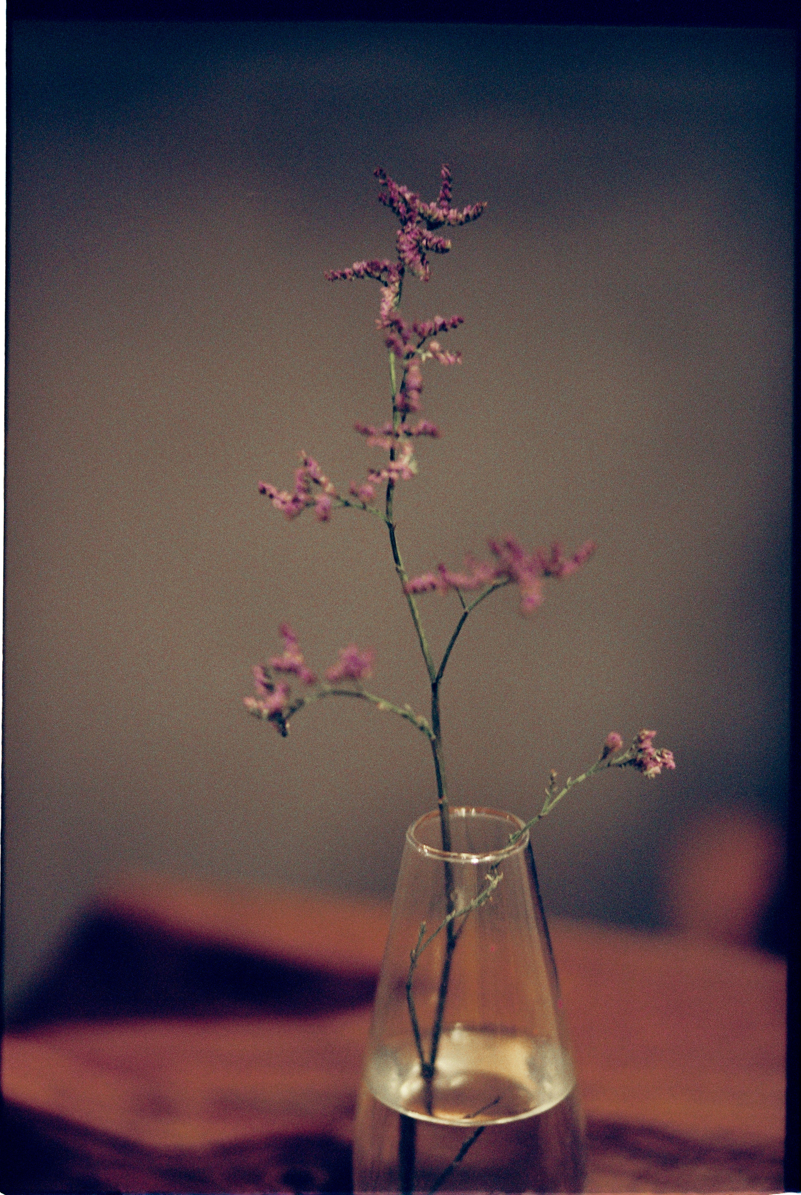 Saint-Petersburg. February 2022. Никита Демидов. Nikita Demidov