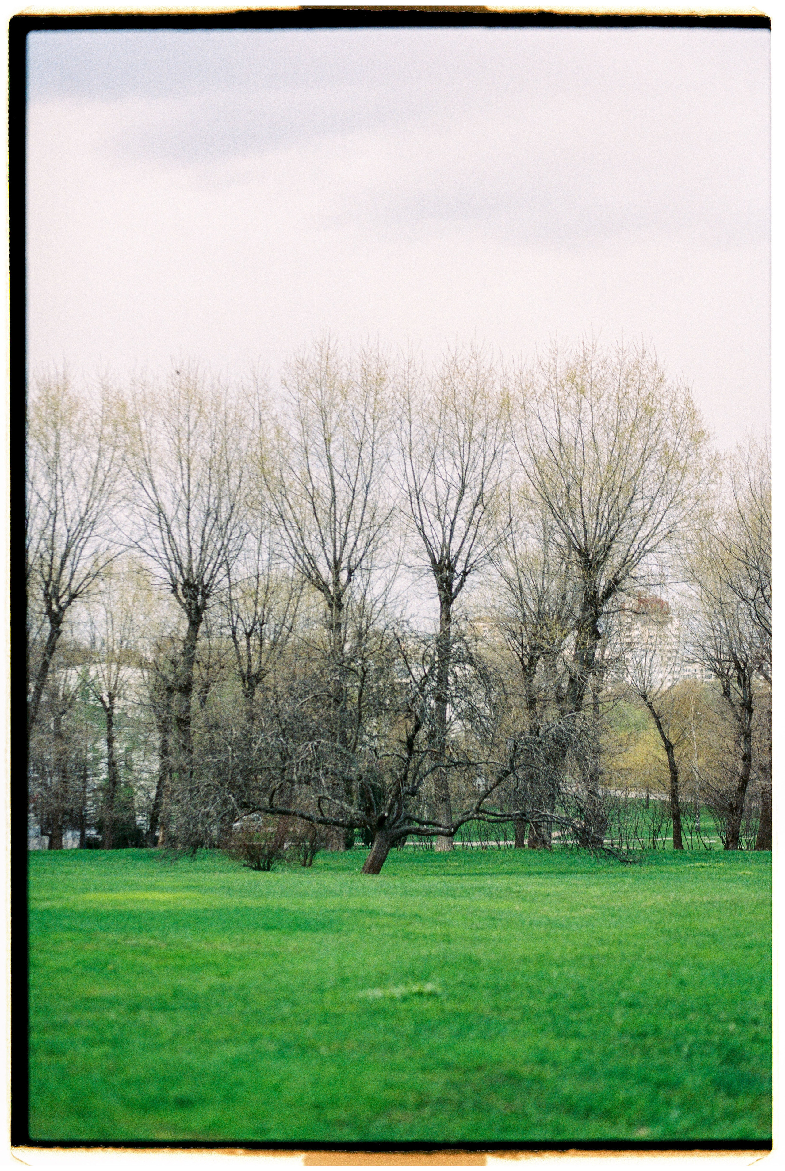 Moscow. Kolomenskoe. Spring 2022. Никита Демидов. Nikita Demidov