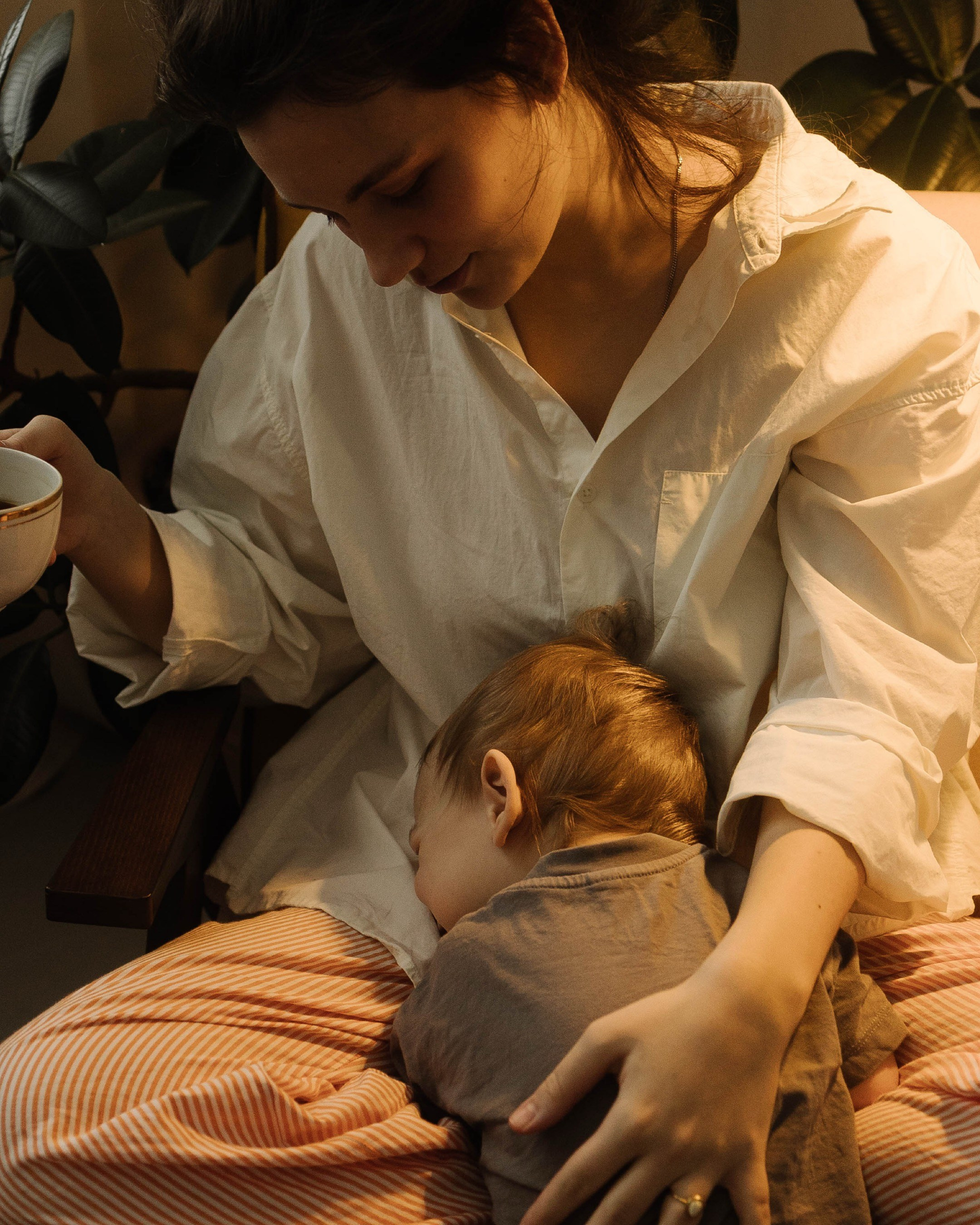 Семейные истории 2026