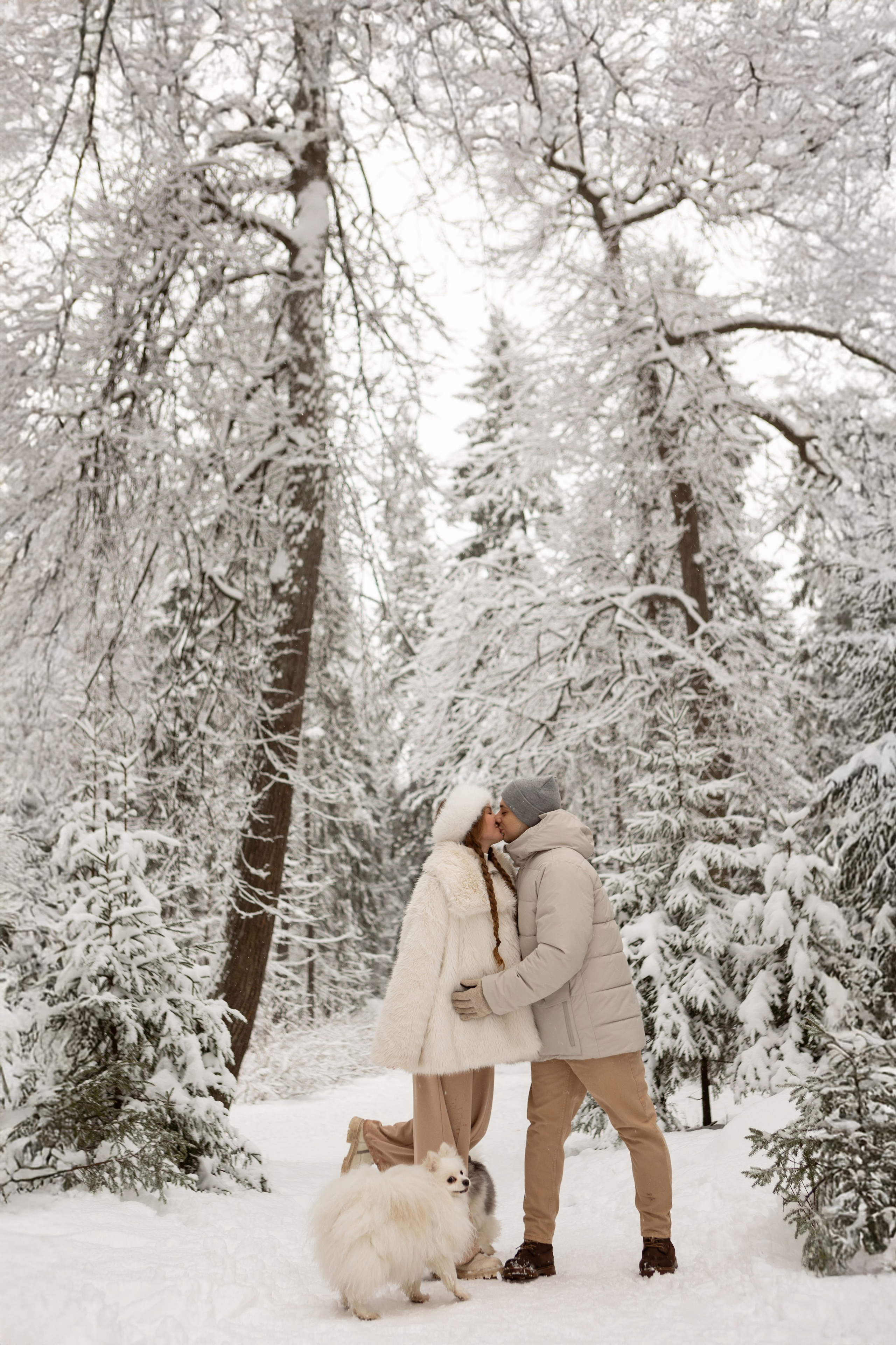 Новогодняя фотосессия с собачками в шуваловском парке. Свадебный фотограф в СПБ | Санкт-Петербурге Анастасия Рахимгулова