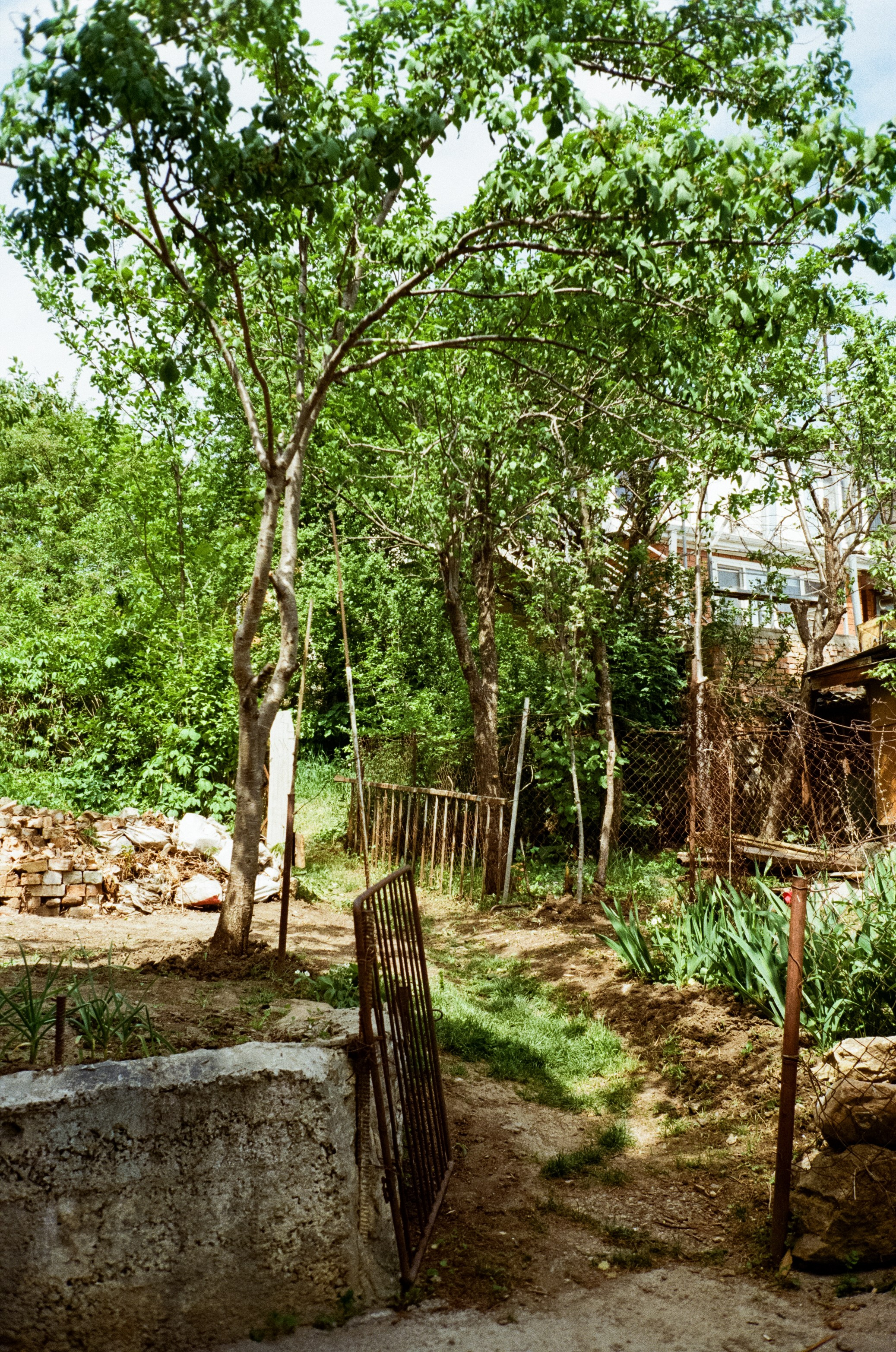 Дворик на Гагарина в Кисловодске. Паркур. Фотограф-документалист Мария Осокина