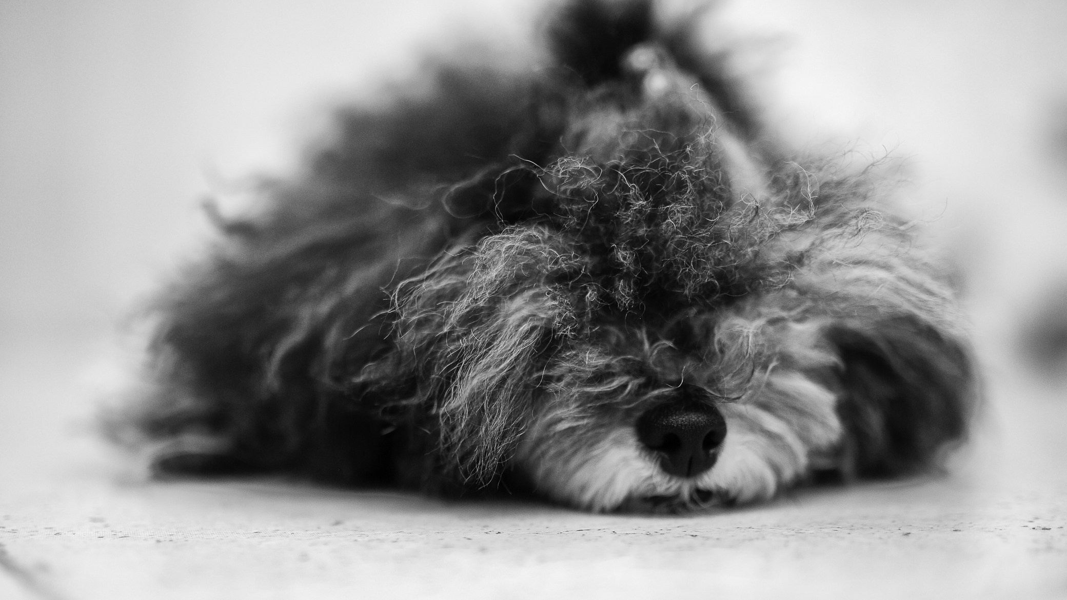 Студия груминга Валерии Кравец