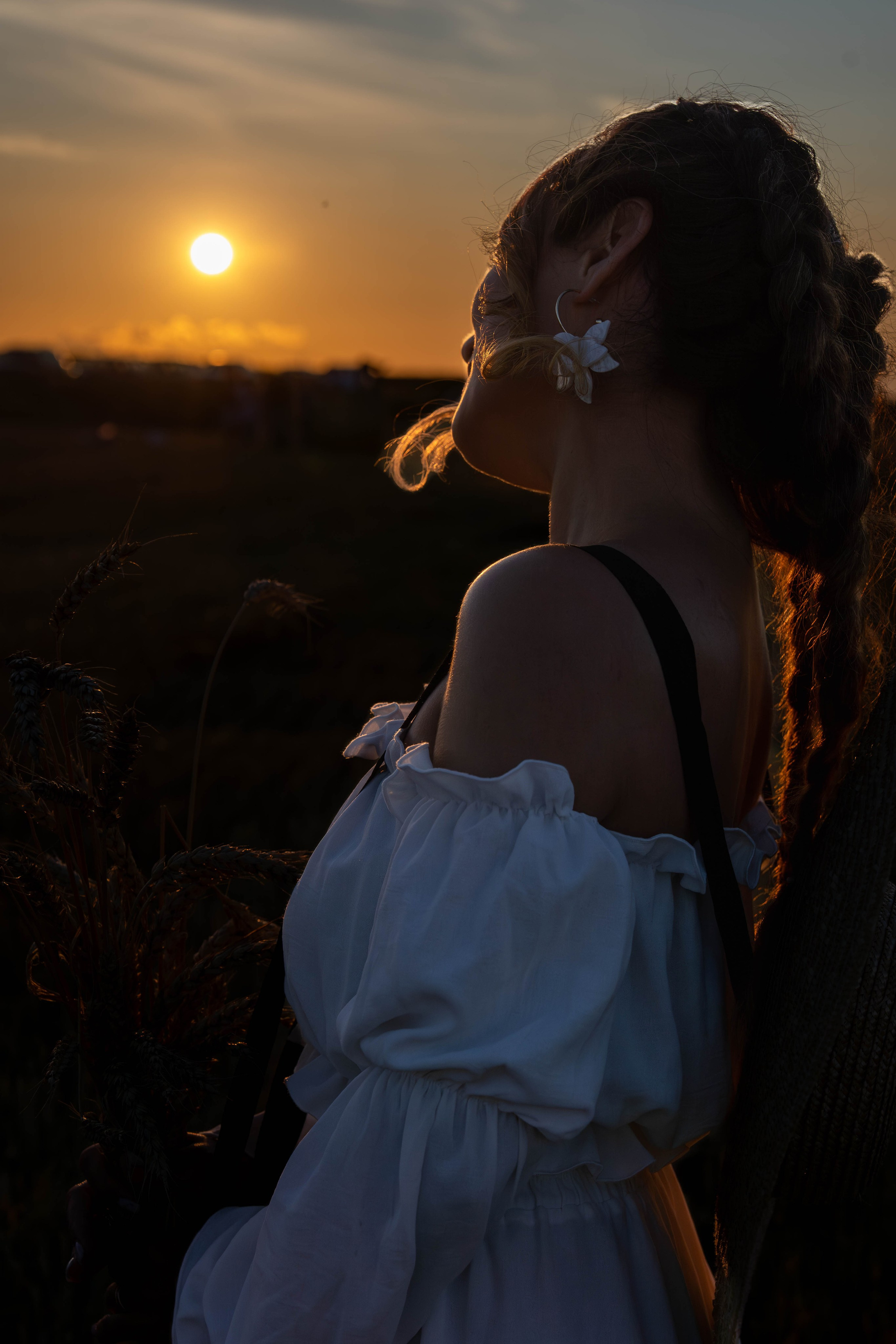 Пшеничные поля. Главная