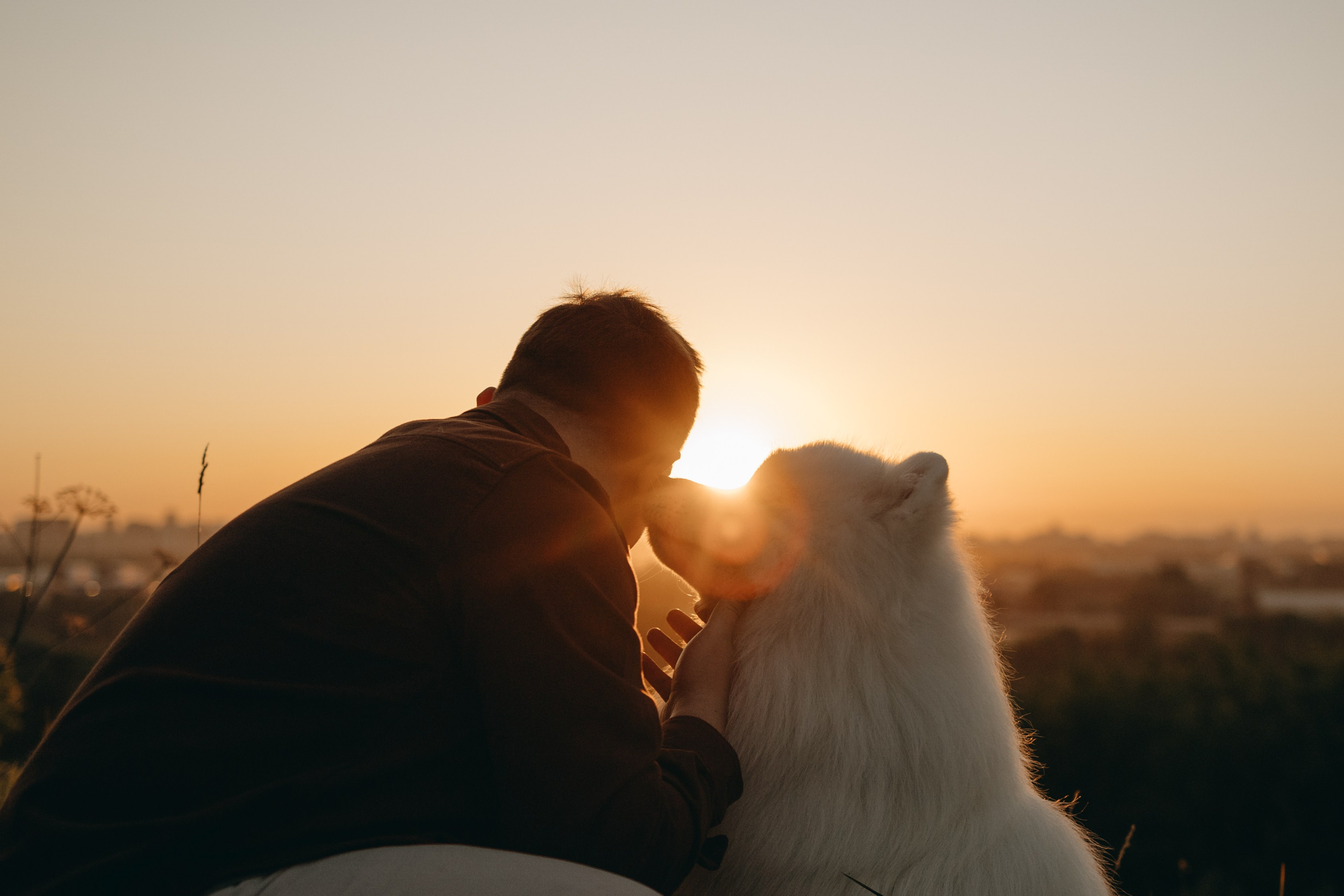 Танго и его семья. Фотограф — Анималист | Санкт-Петербург