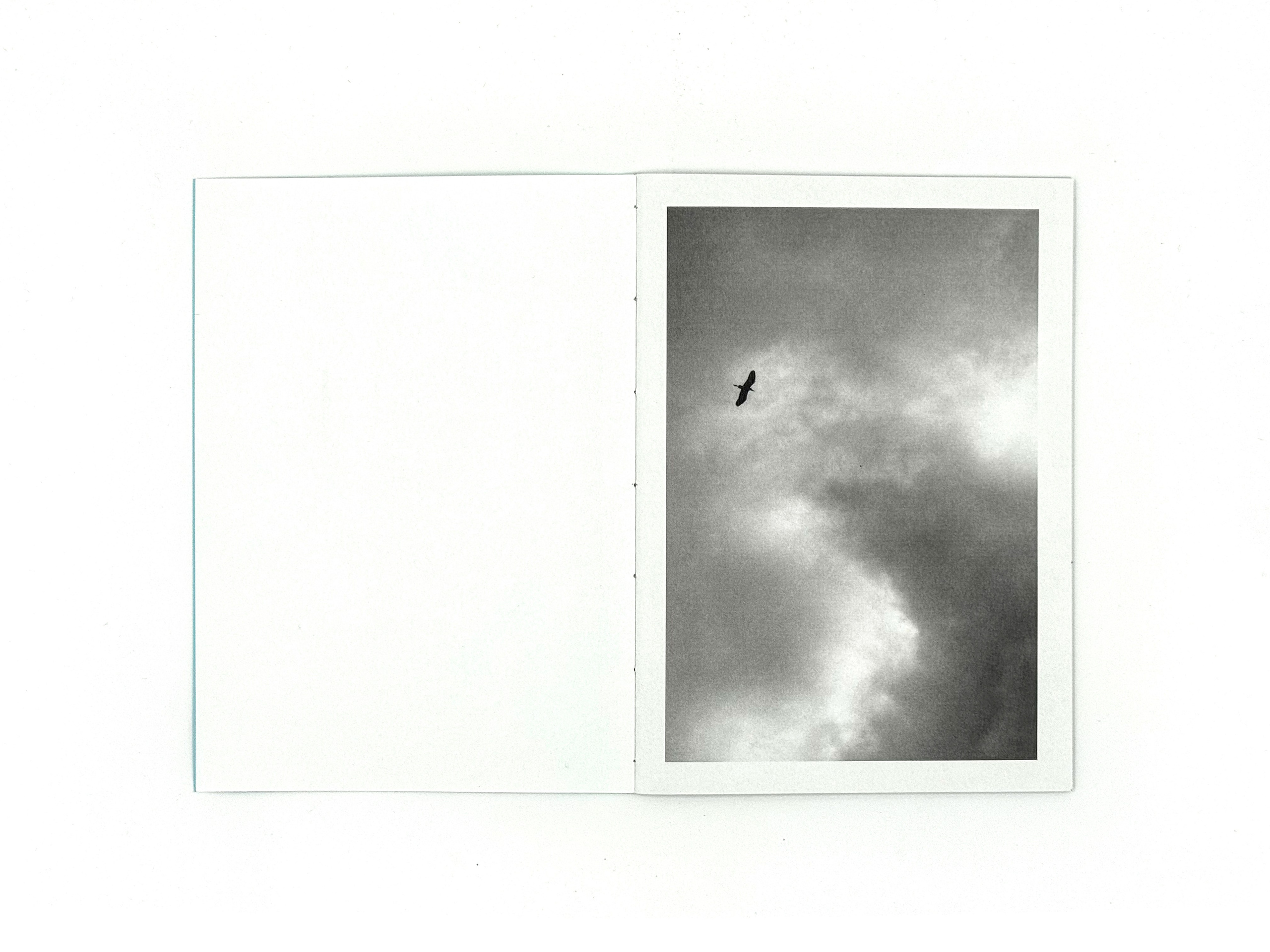 Начало дождя. Лера Круглова