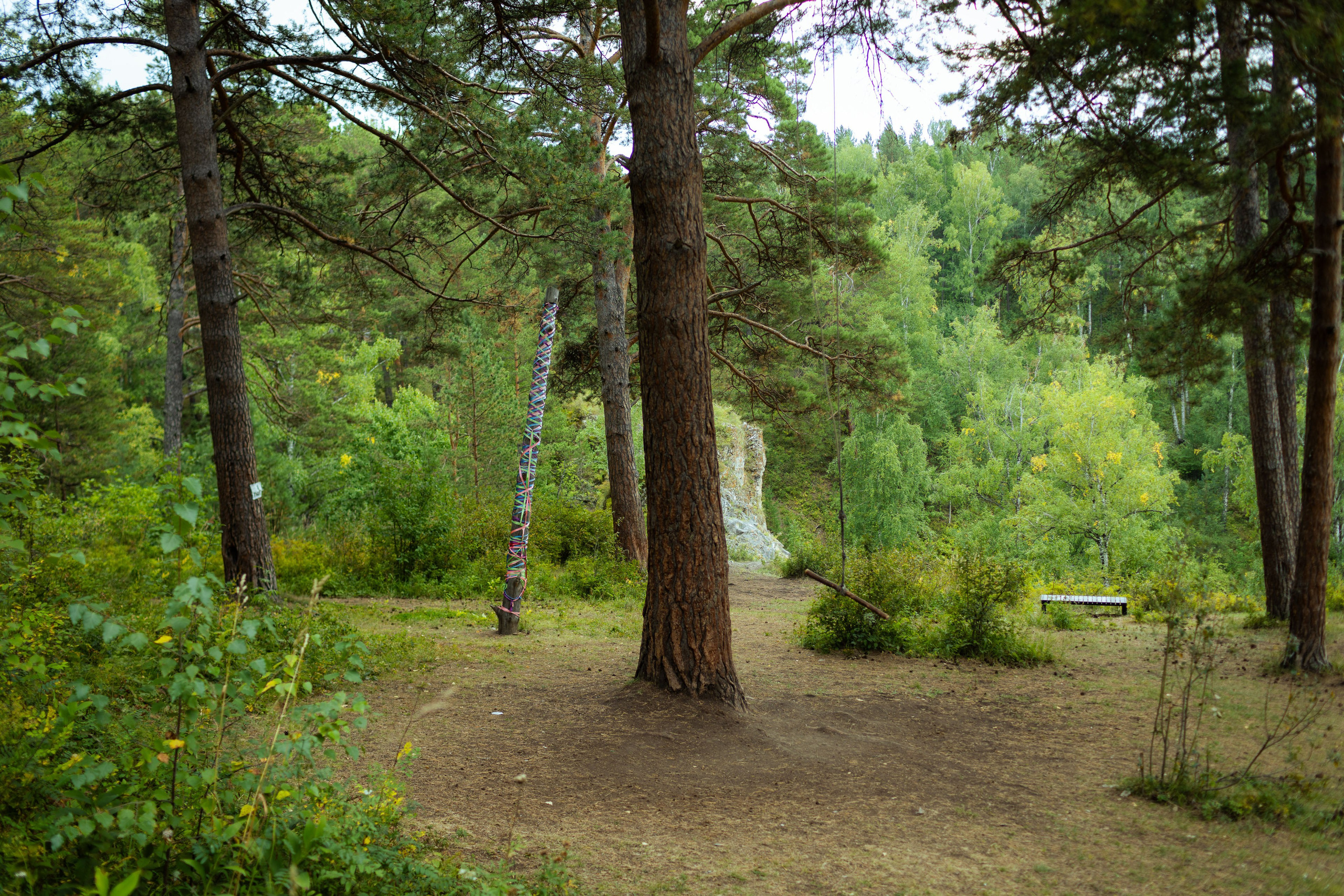 Красноярск (осень 2023). Фотограф Виноградов Константин