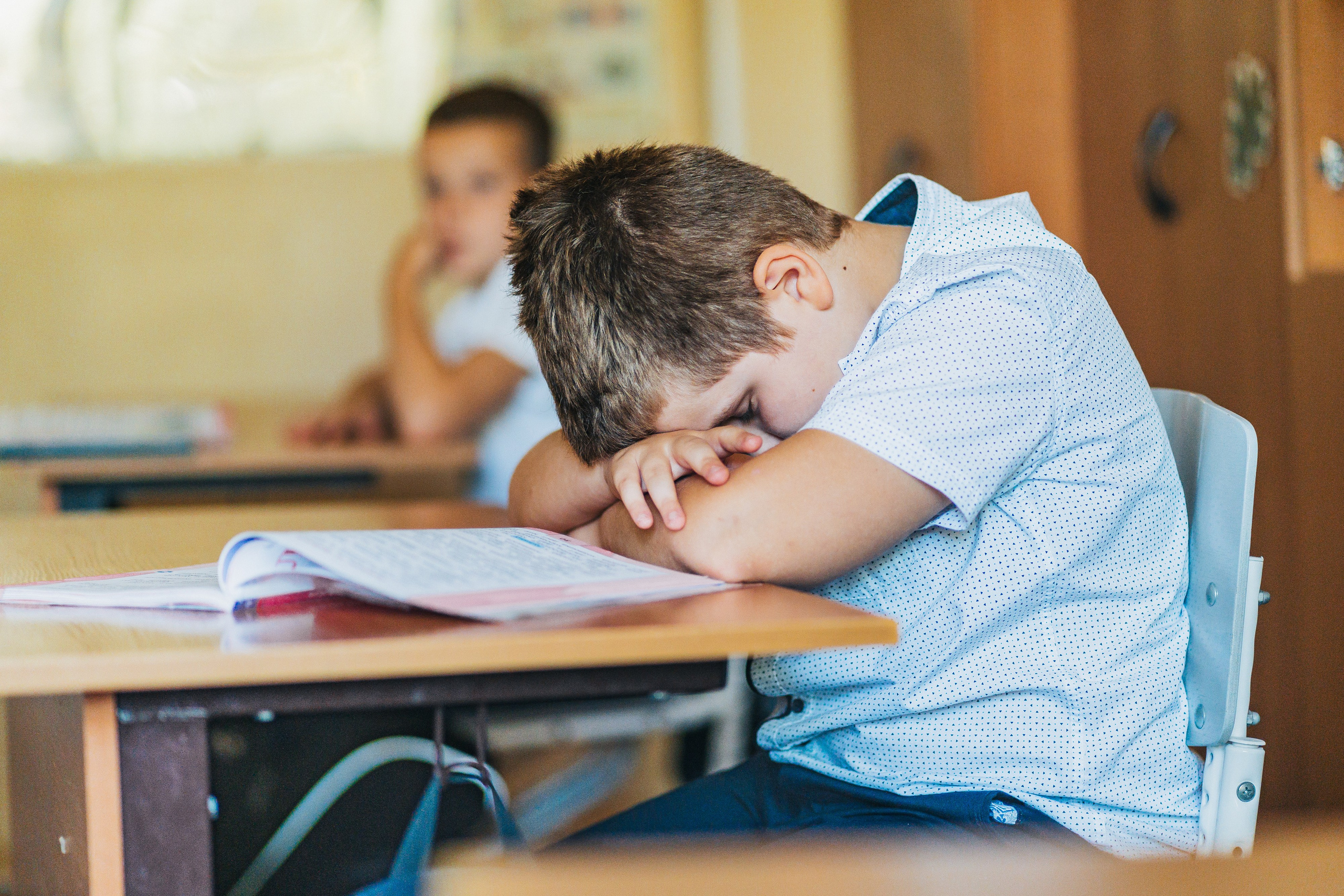 2 класс. Школьные альбомы и альбомы для детского сада. Юлия Осипова. Москва