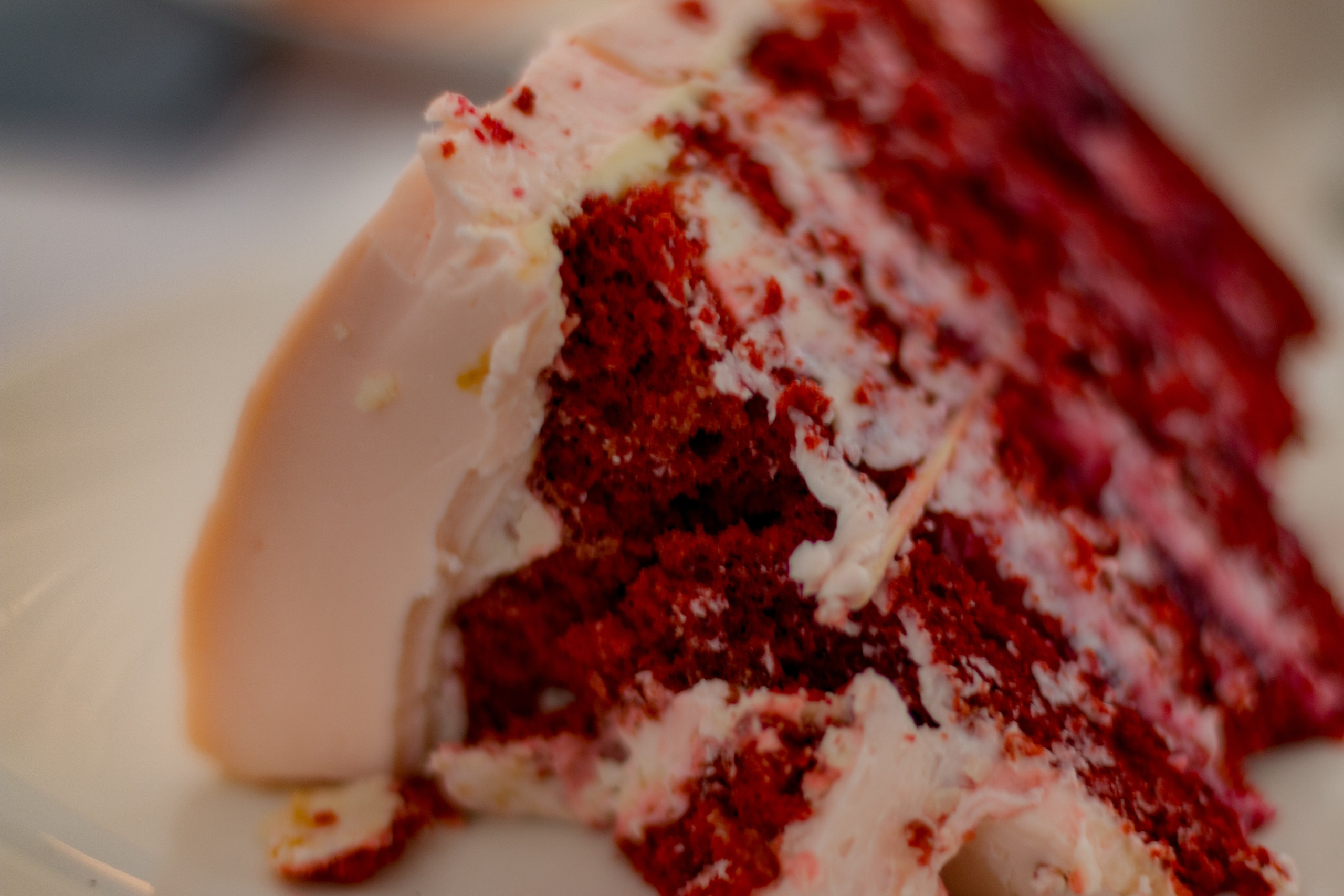 Настя и Тимофей, свадьба. Фотограф в Сочи