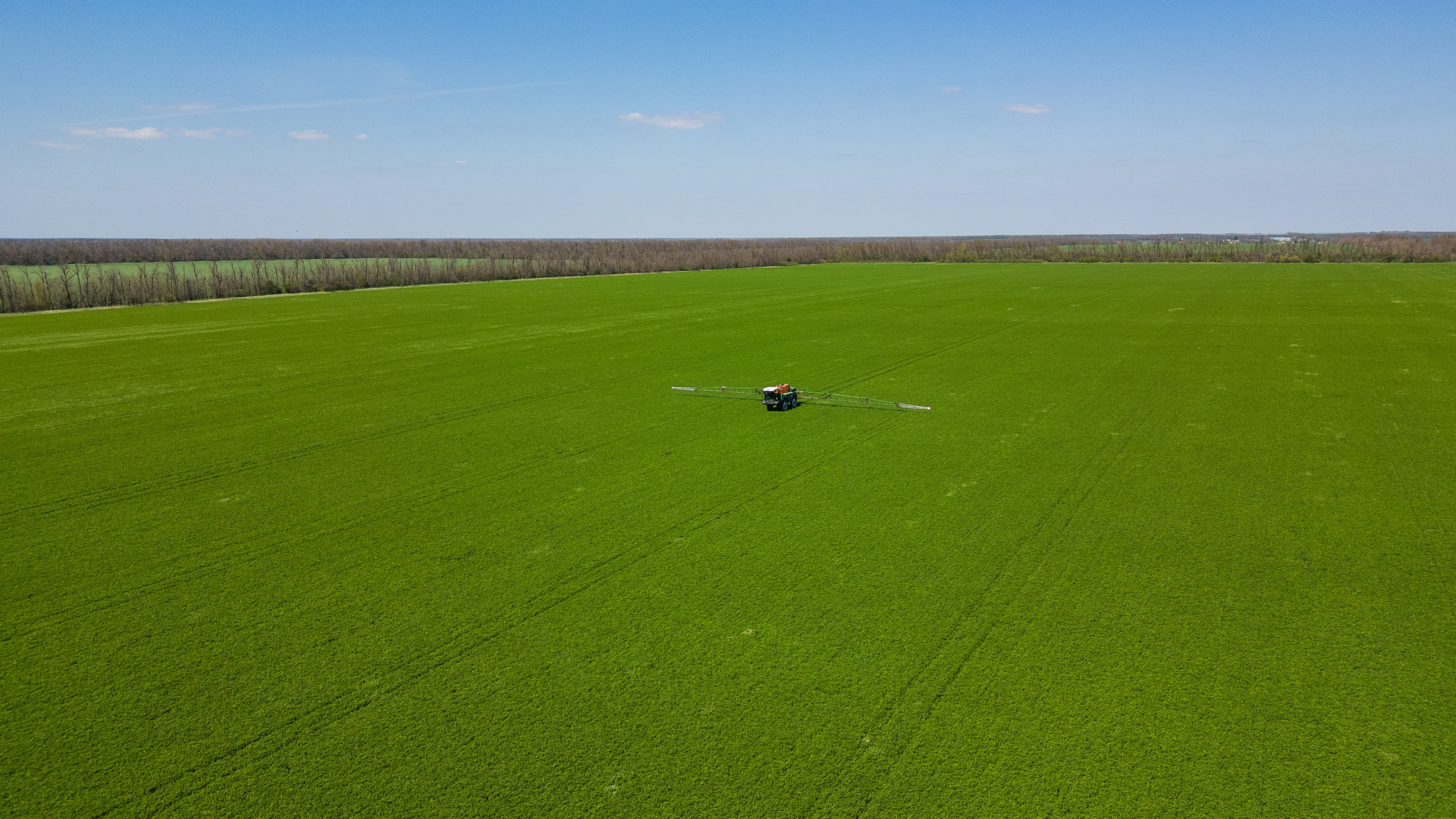 Проекты. Профессиональный фотограф Вячеслав Плацында | Липецк |