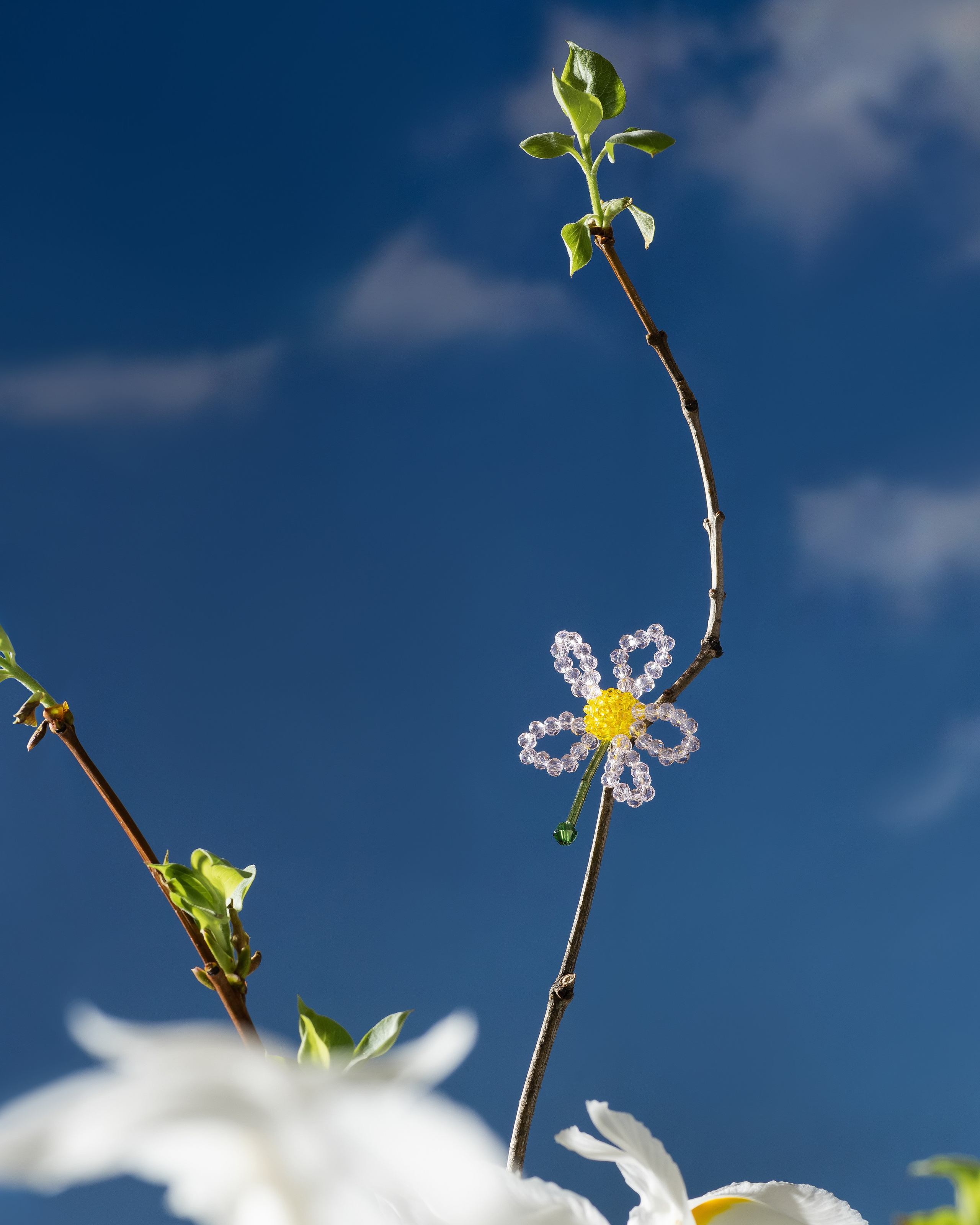 Украшения. Предметная фотография