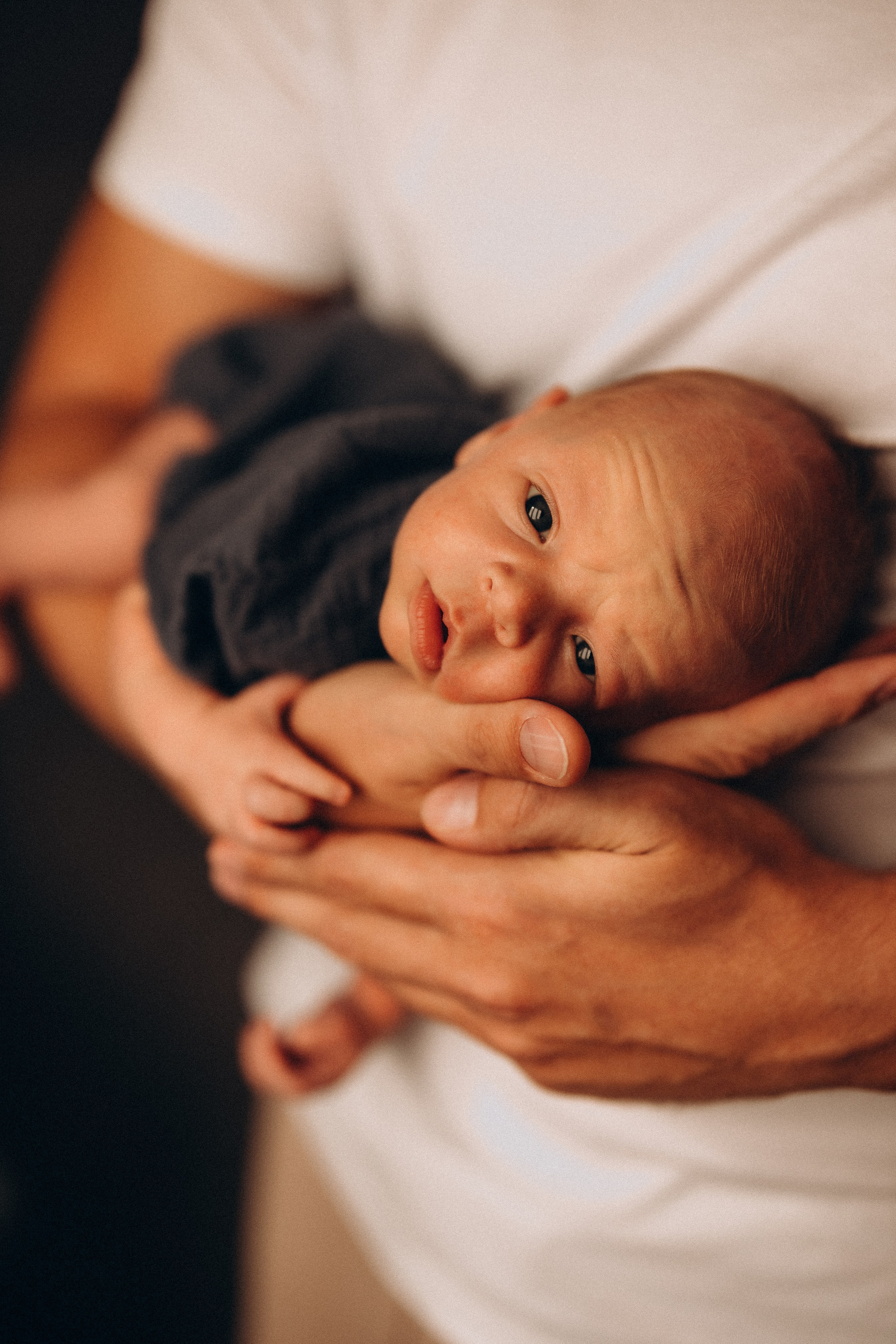 Платон. Евгения Пелипас