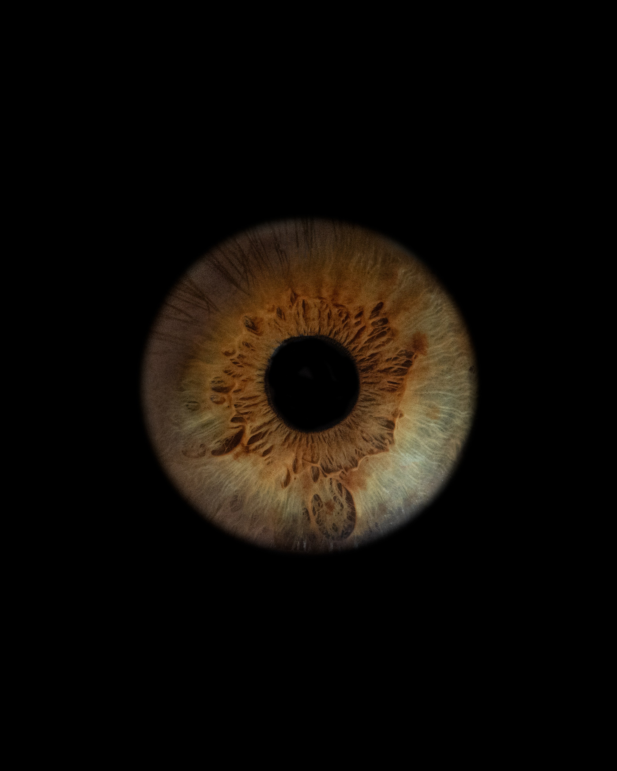 Фотостудия макросъёмки радужки глаз в Севастополе «Ojo art»