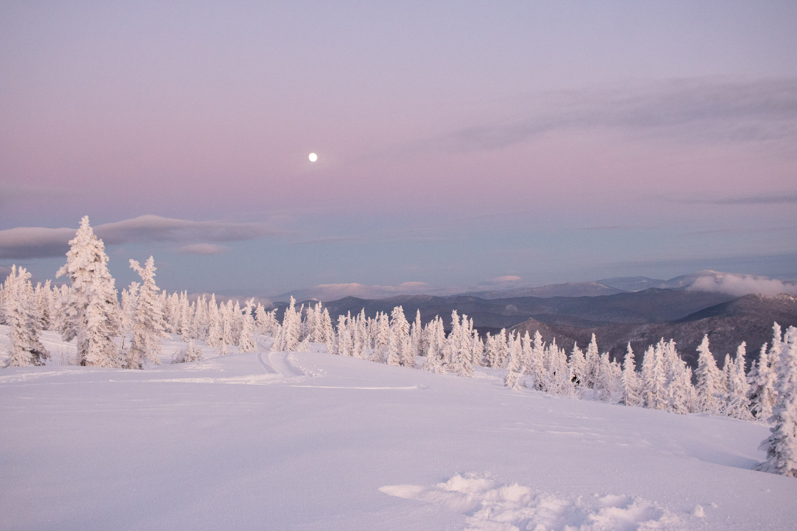 Татьяна и Иван. Свадебный и семейный фотограф в Новокузнецке Иван Иванов