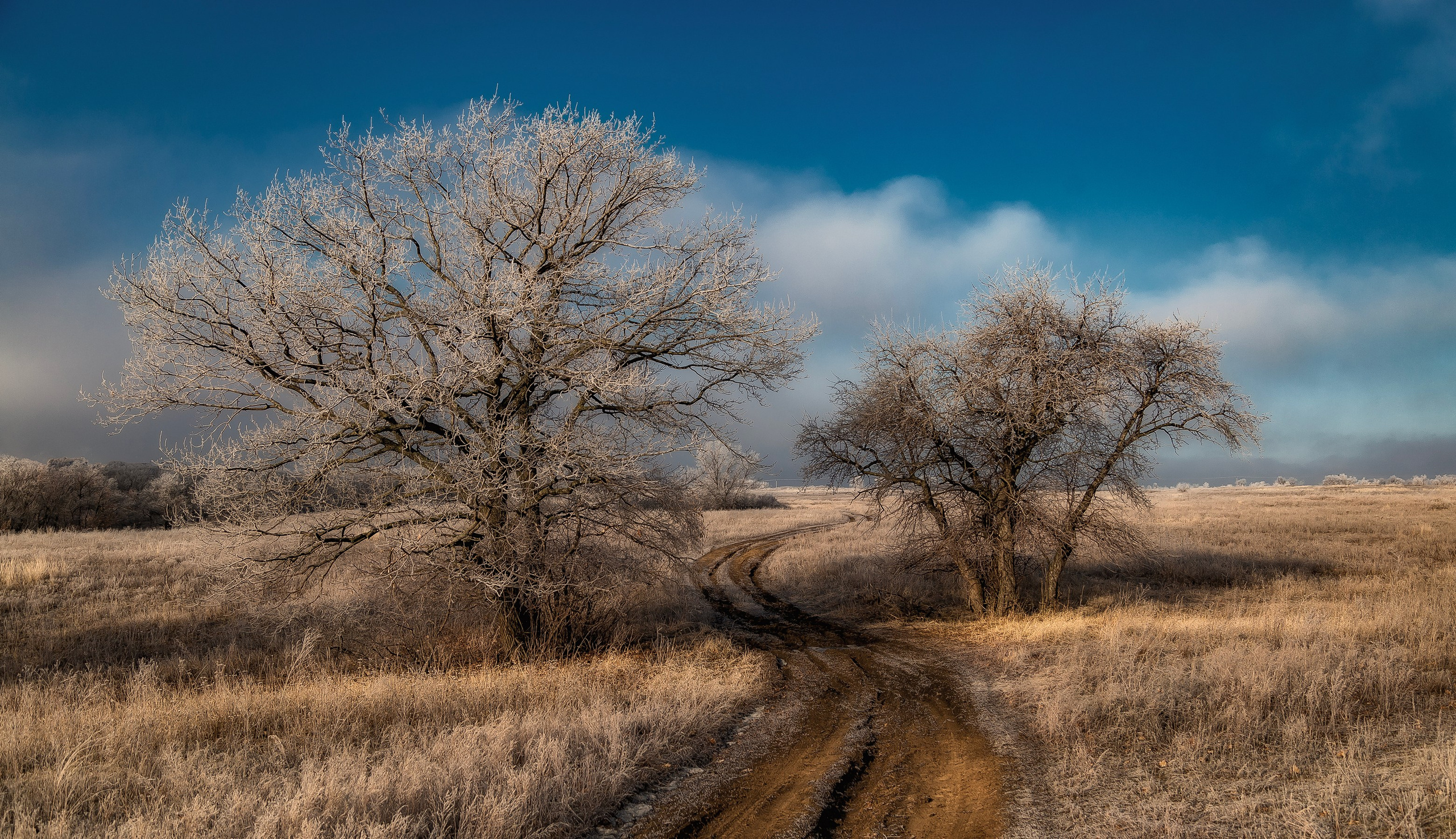 Макс По — фото и видео съемки любого формата