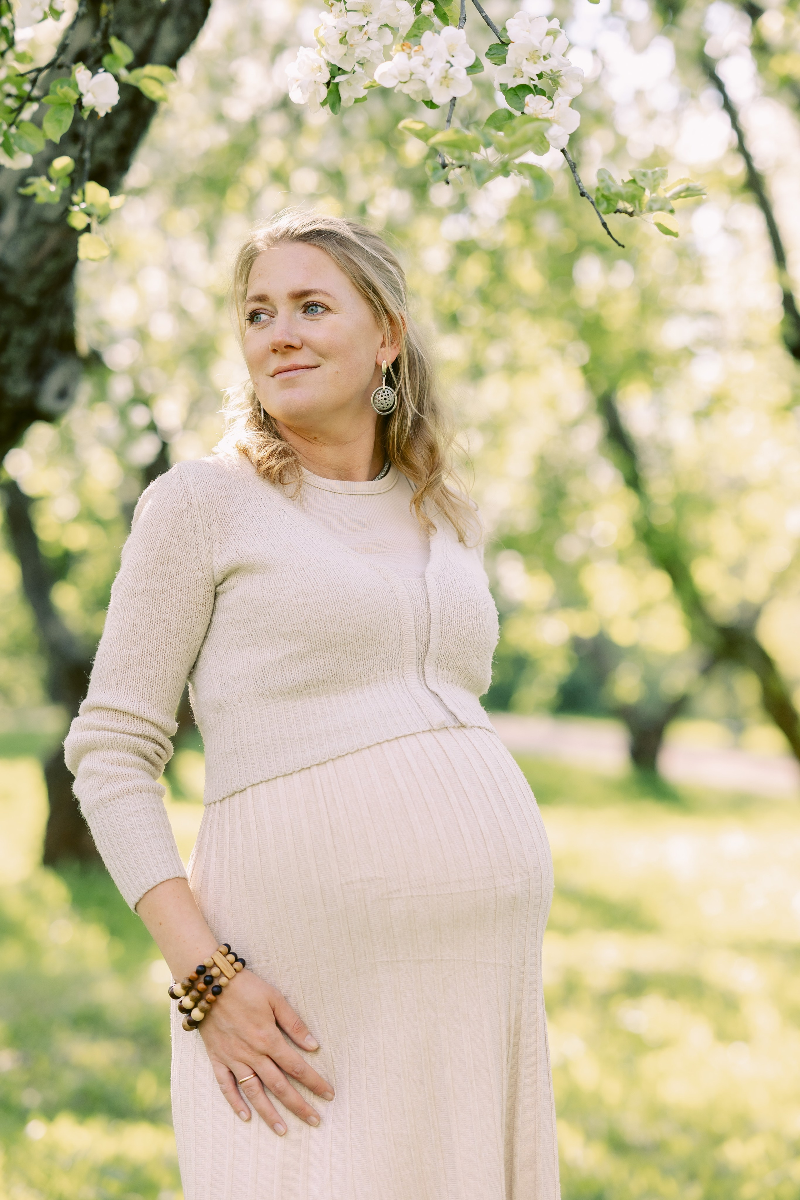 Цветение яблонь