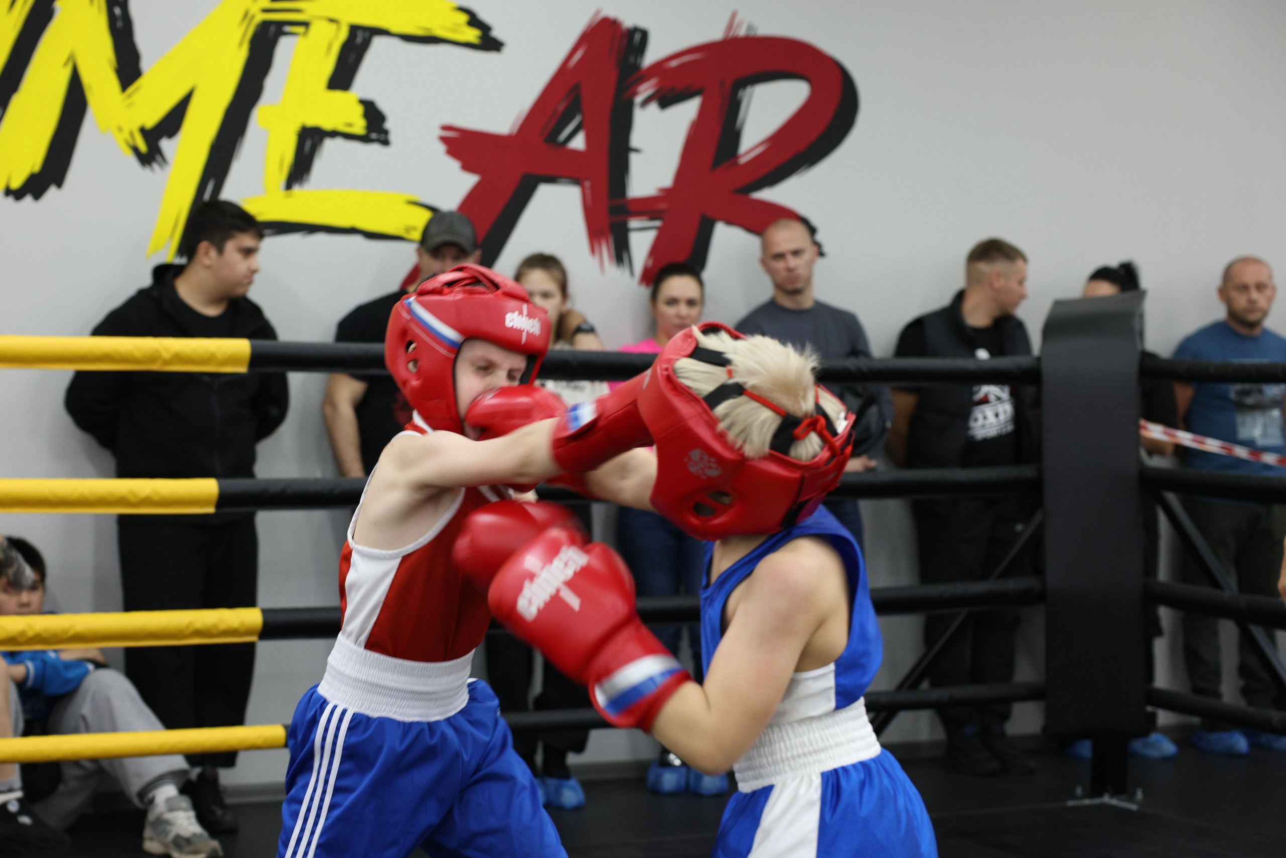 Открытый ринг «кубок ООО «ТЭК НеваСпецТяж». Фотограф Александр Заломаев