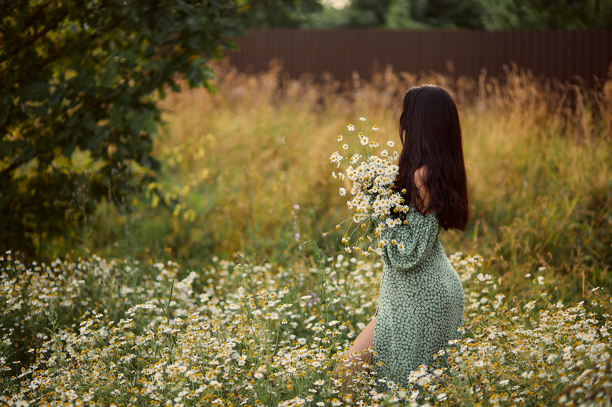 Фотосессия в ромашках. Фотограф в Минске Анна Кучинская