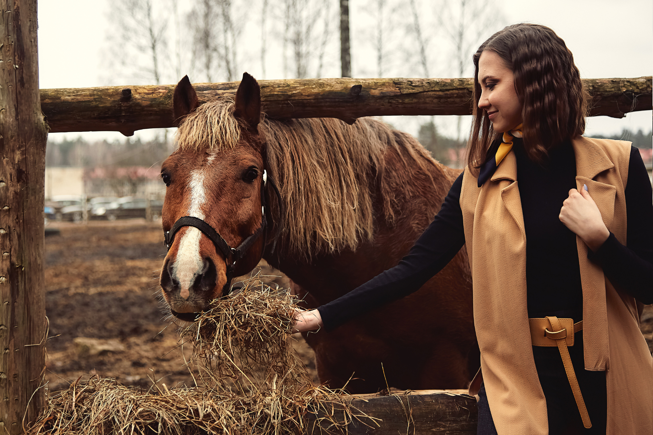 Фотосессия с лошадью для Кати. Фотограф в Минске Анна Кучинская
