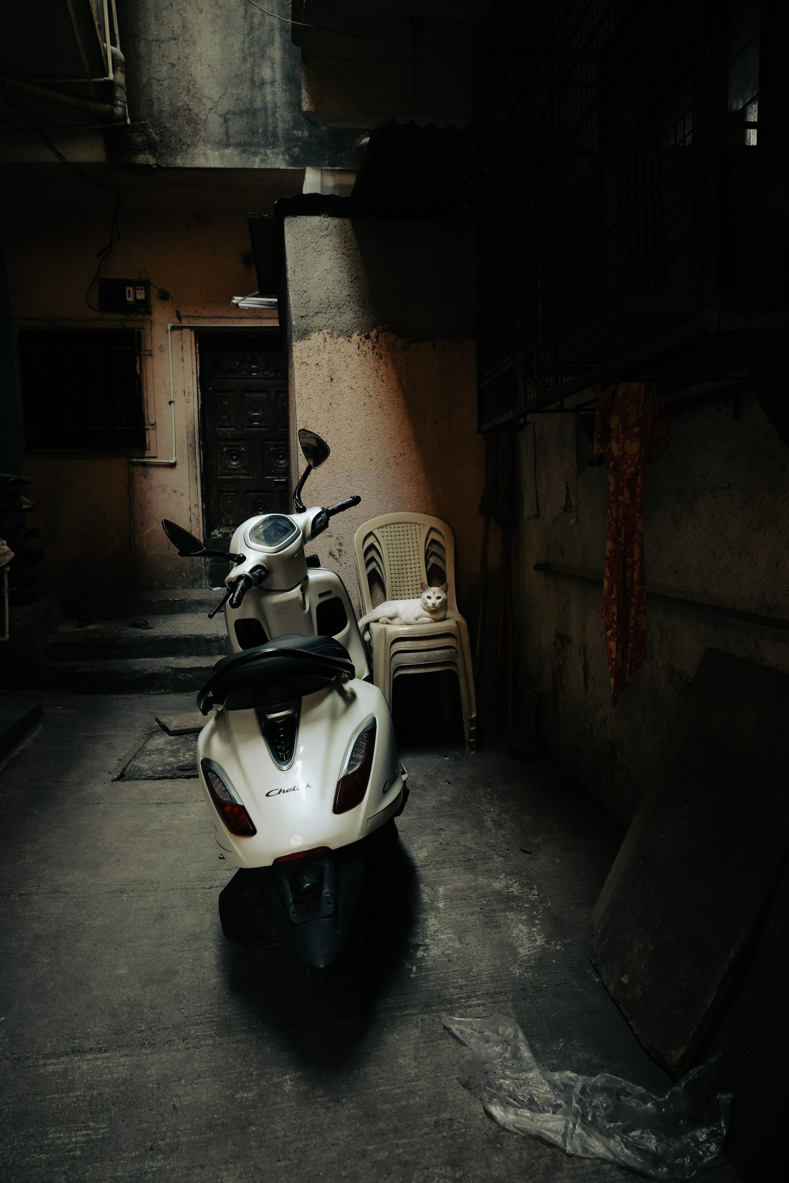 India. Фотограф в Москве