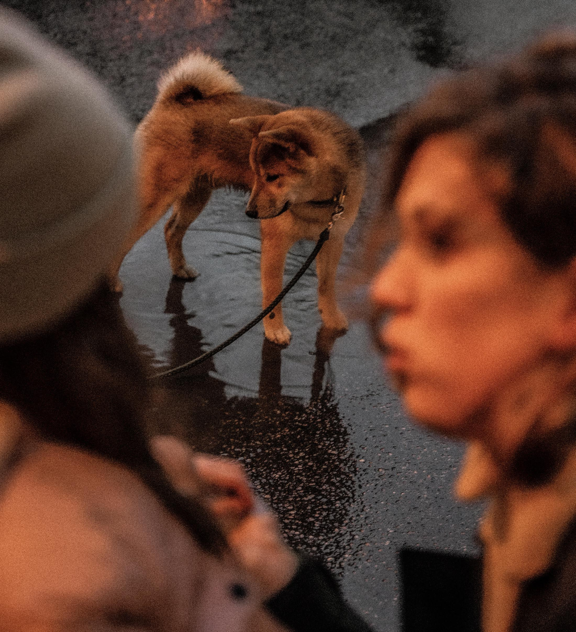 Tears and laughter. AleSeeva