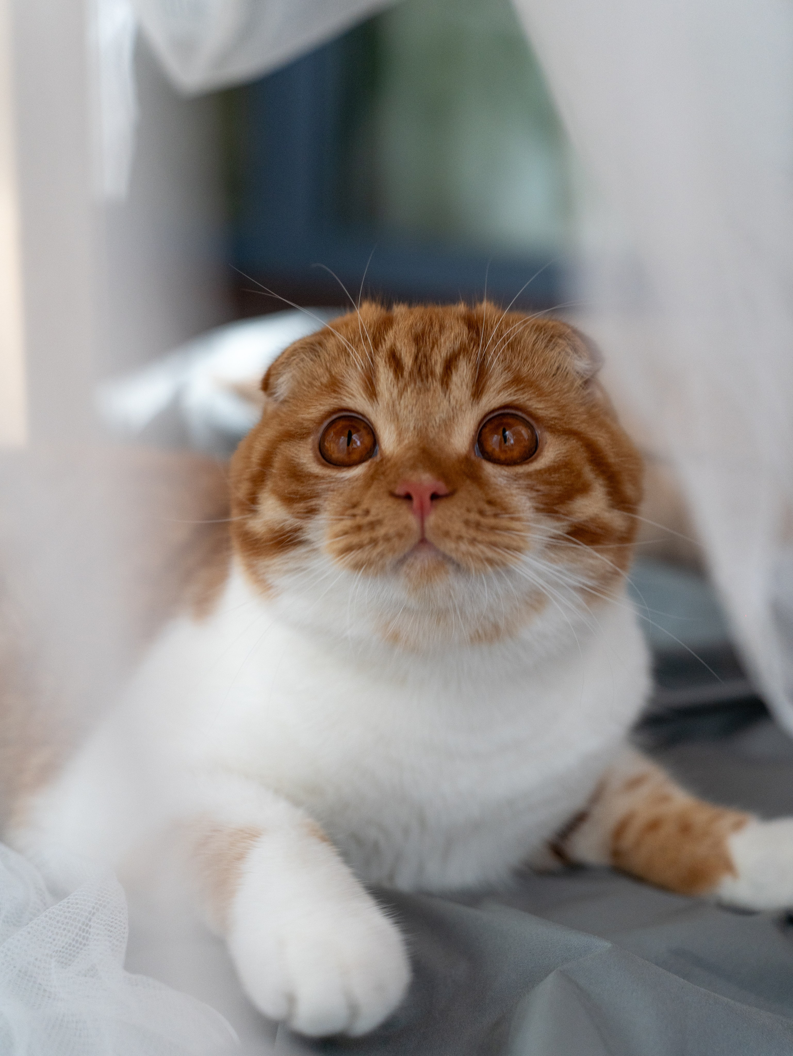 Семейная фотосессия в Екатеринбурге. Фотограф из Екатеринбурга Алена Мусалимова