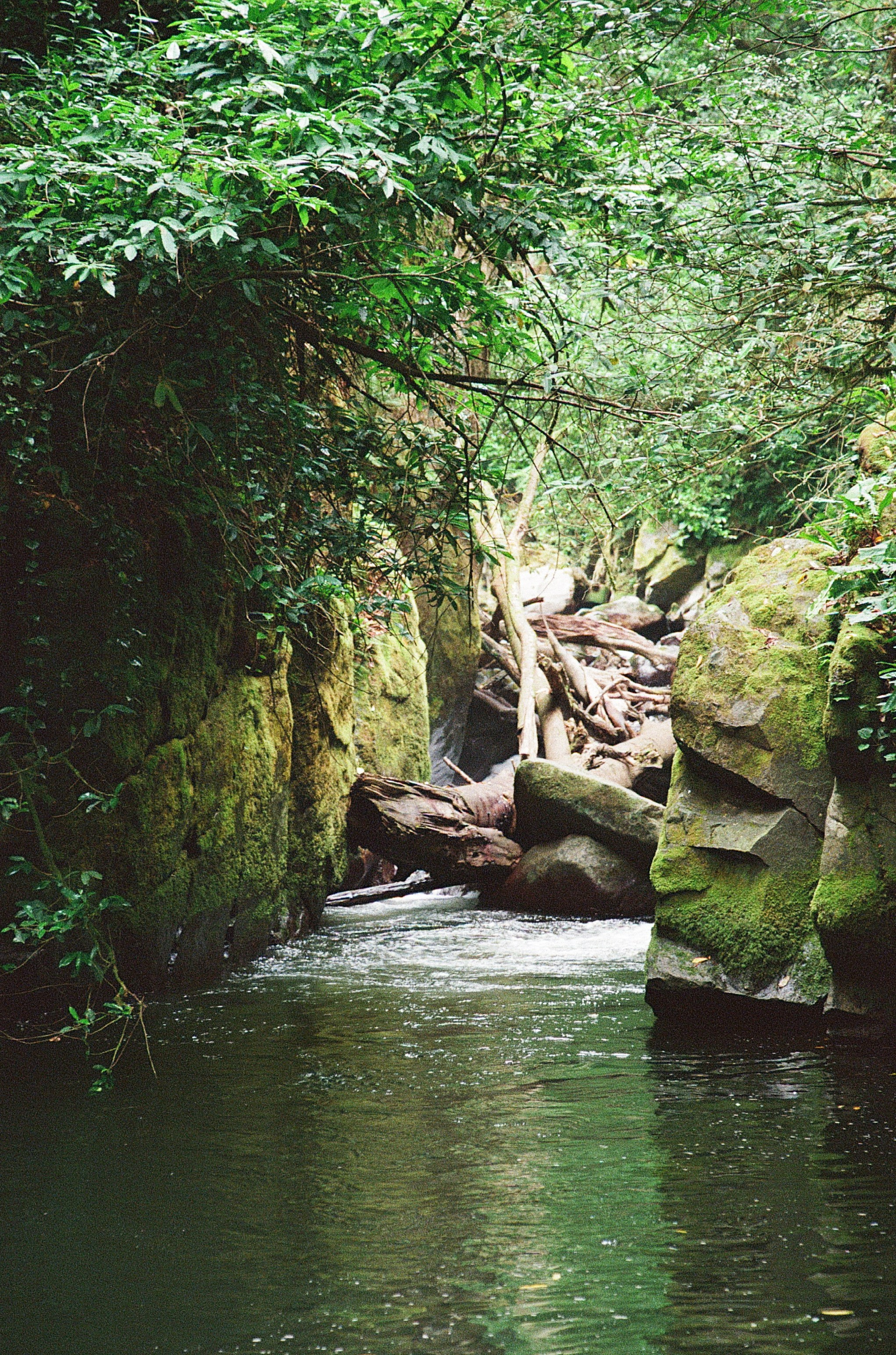 ГРУЗИЯ. ПРИРОДА.25. Профессиональный фотограф Федотова Арина