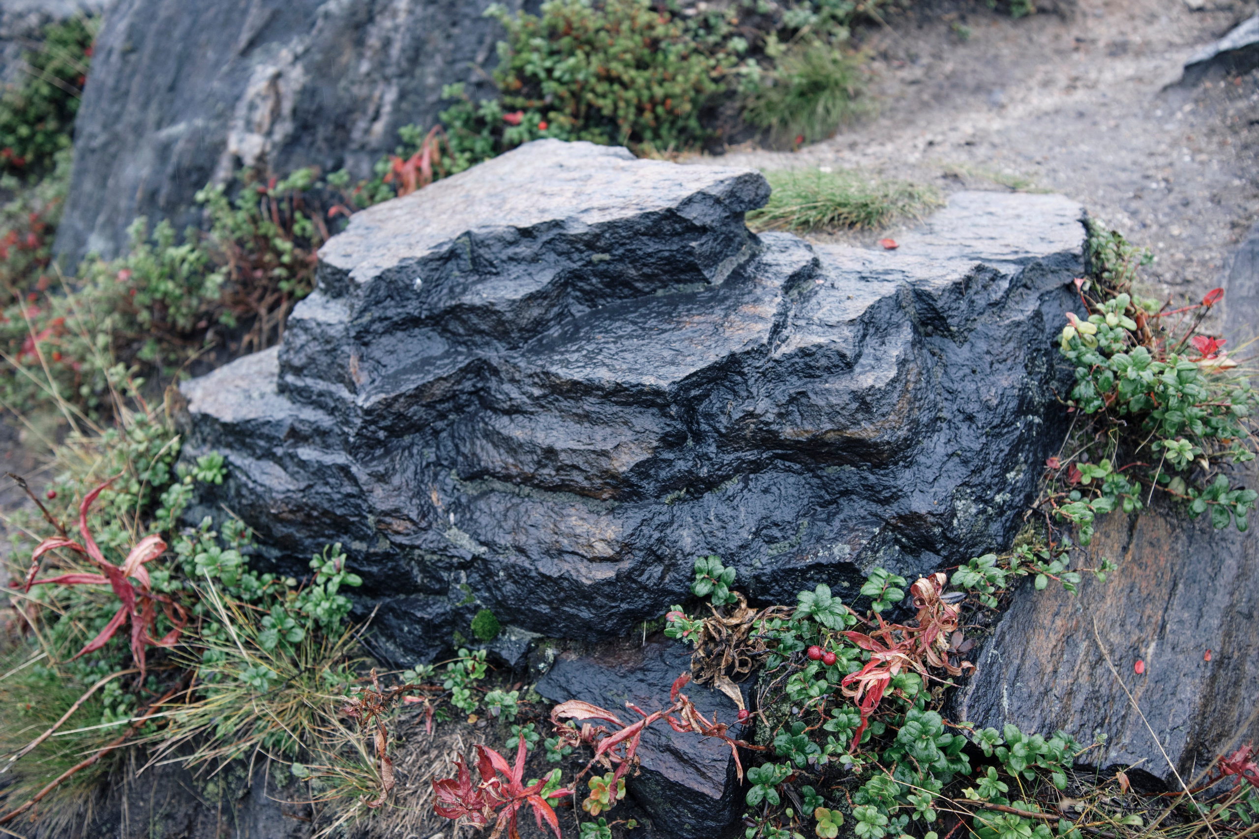 Поездка в Мурманск. Заметки и фото. Елена Павленко. Фотограф. Москва