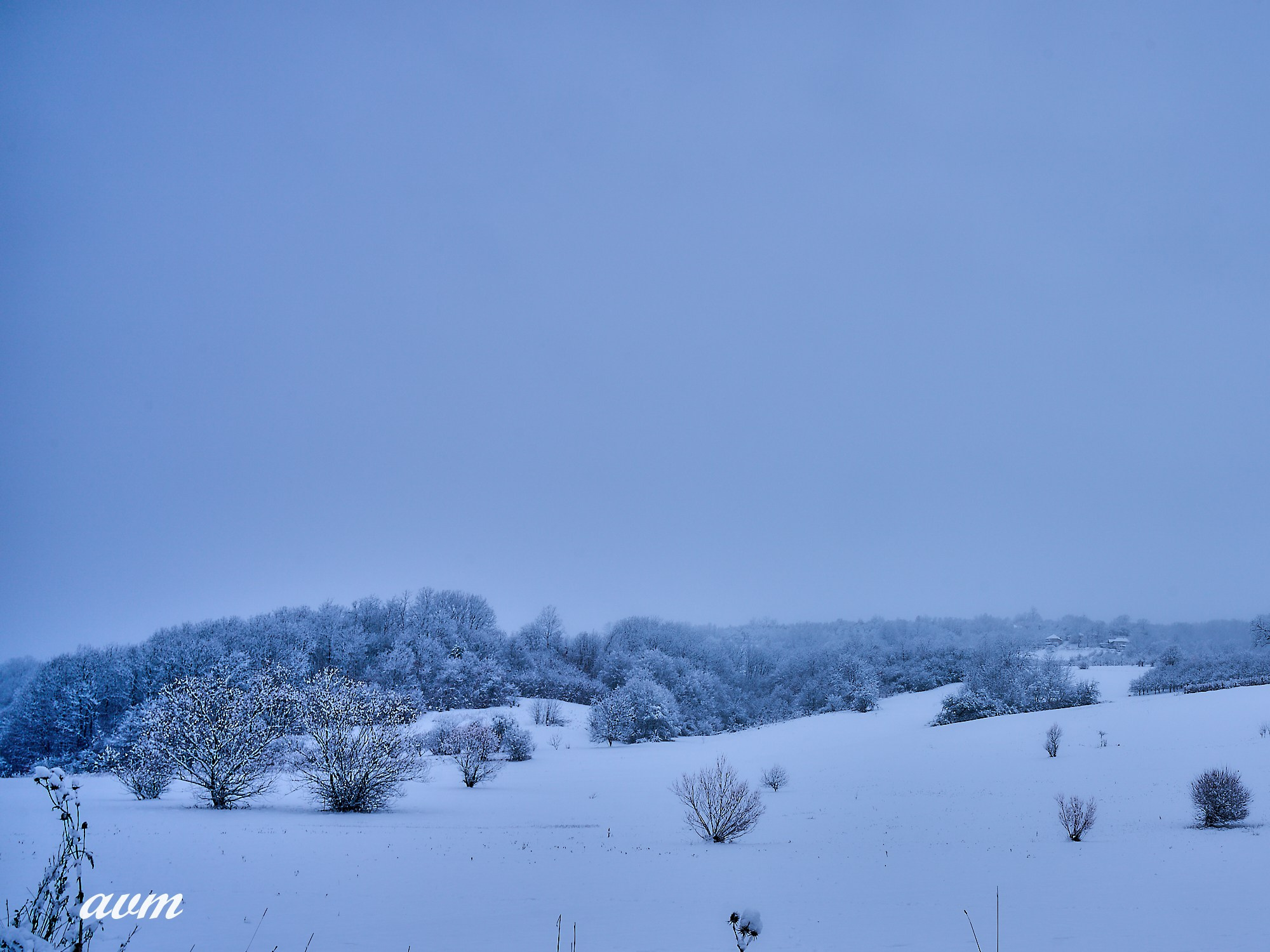Капаоник-Белград Сербия Зима 2022. Фотограф Михеев Андрей