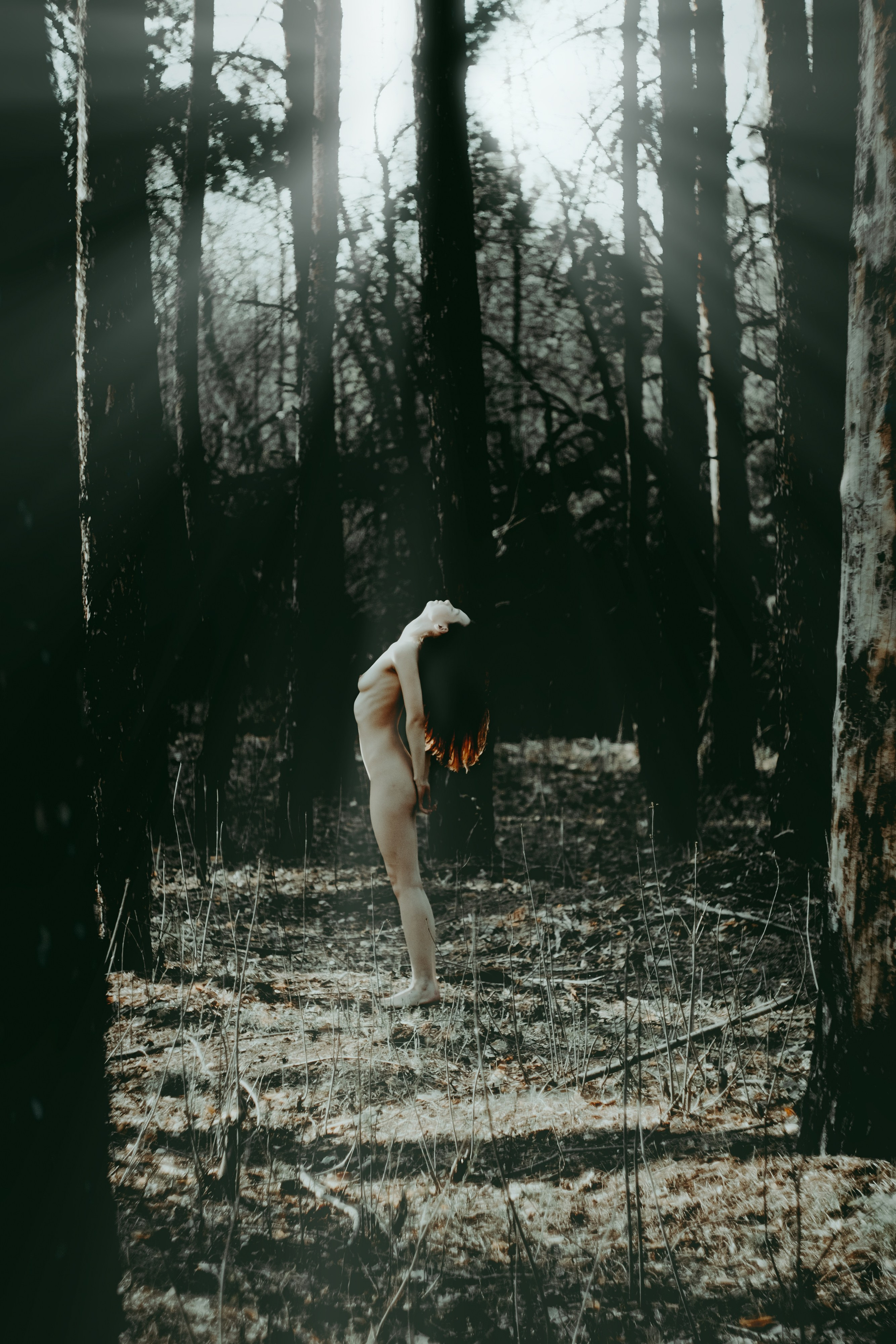 Анастасия. Лес. Дмитрий Пропадалин, Нейрофотография