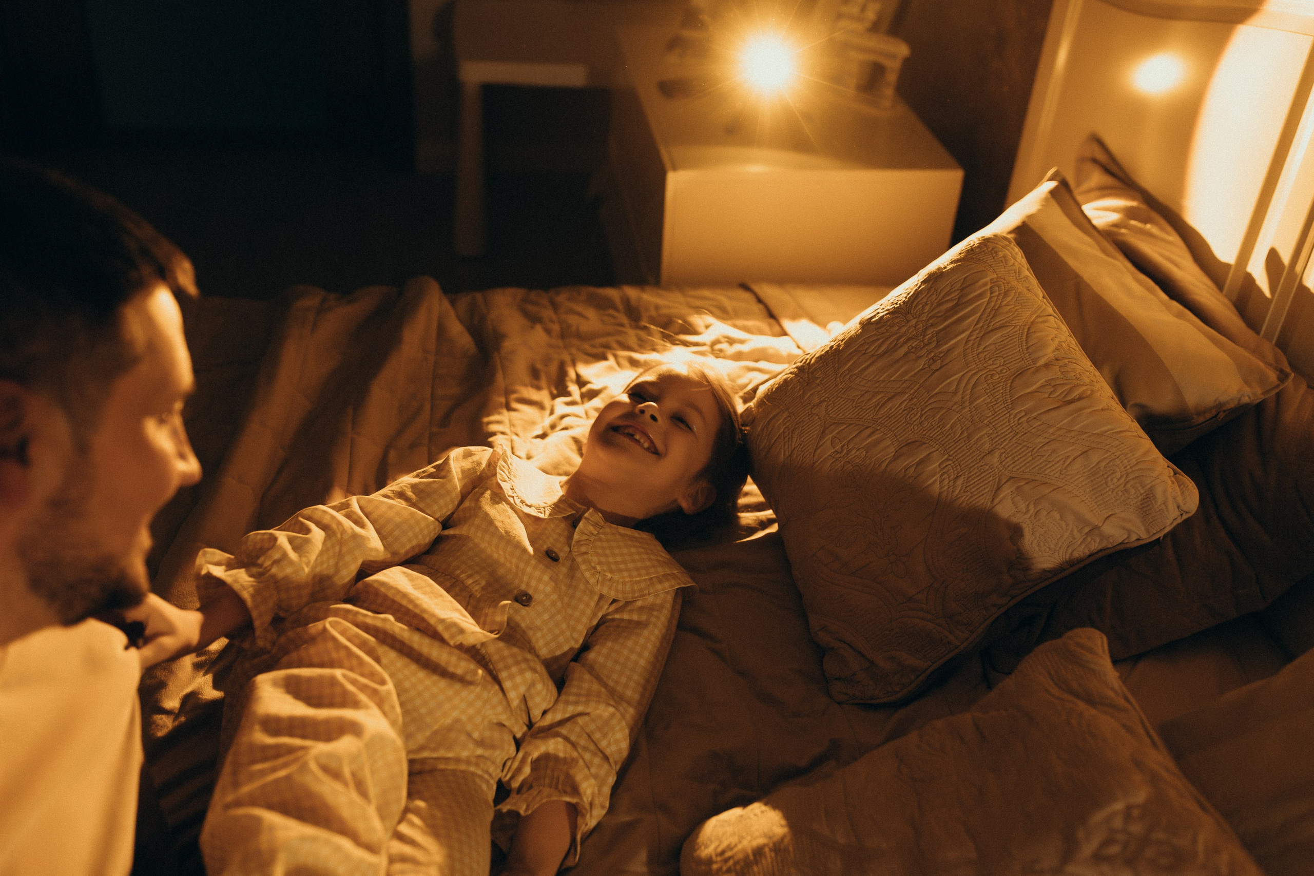 Домашняя история. Meryfotoidea