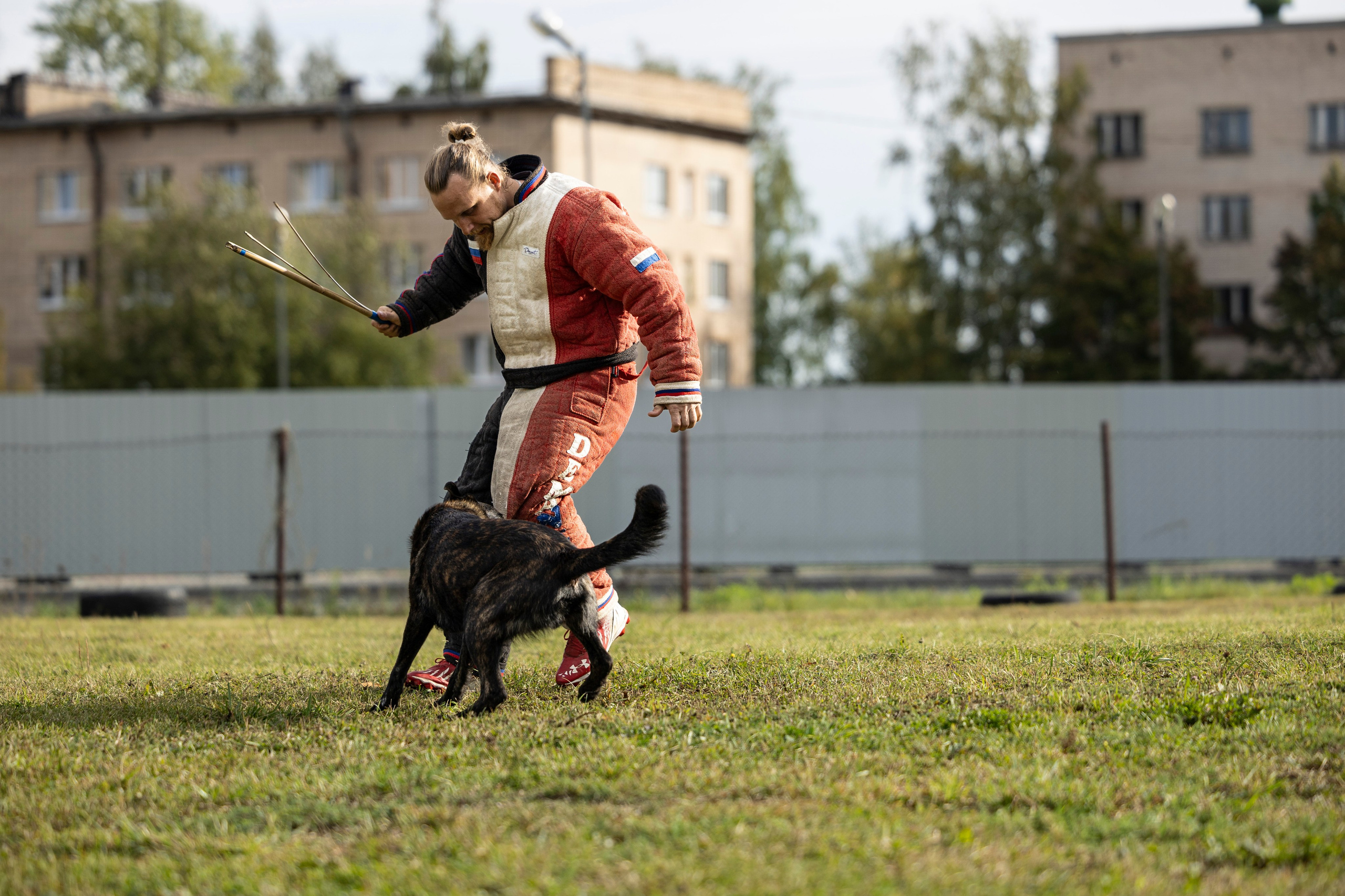 Испытания по Мондьорингу г. Пушкин. Фотограф-анималист Анна Маринич