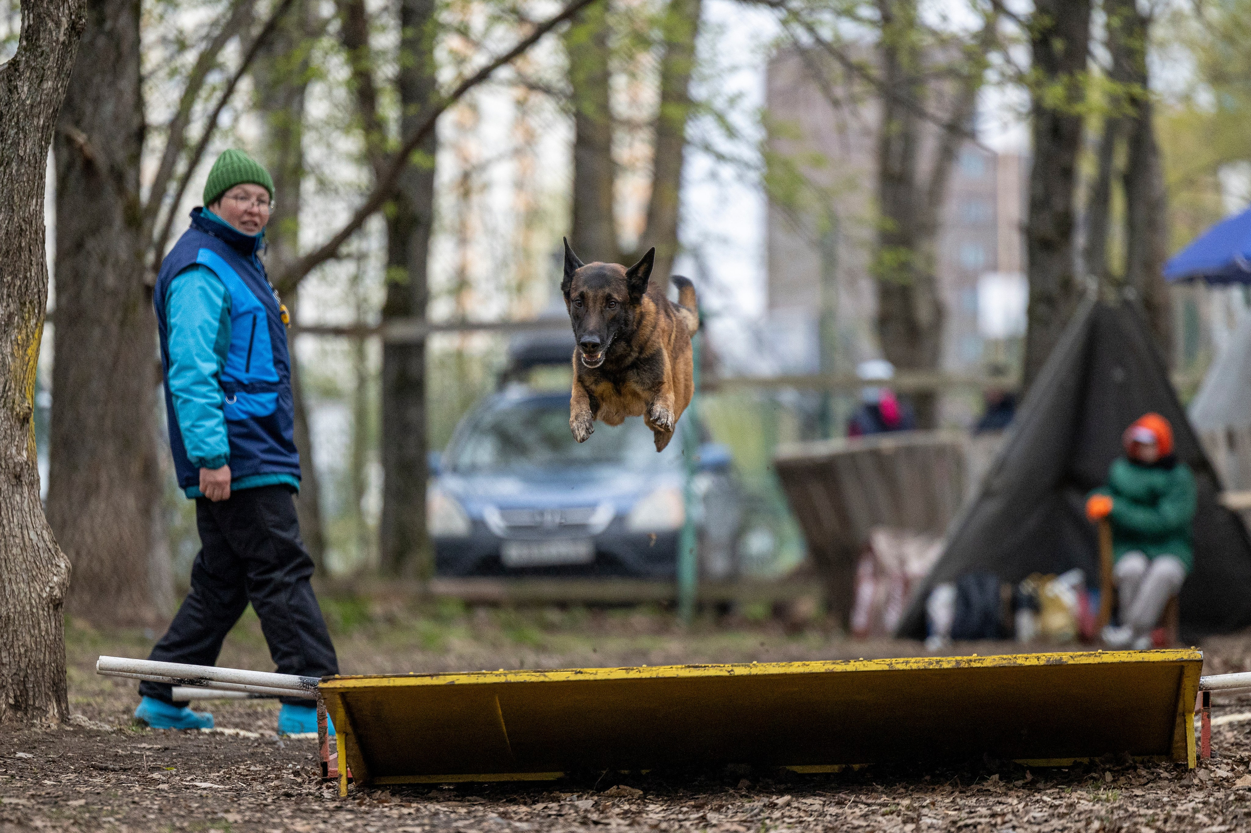 Квалификационные состязания по мондьорингу г. Вологда 11.05.24. Фотограф-анималист Анна Маринич