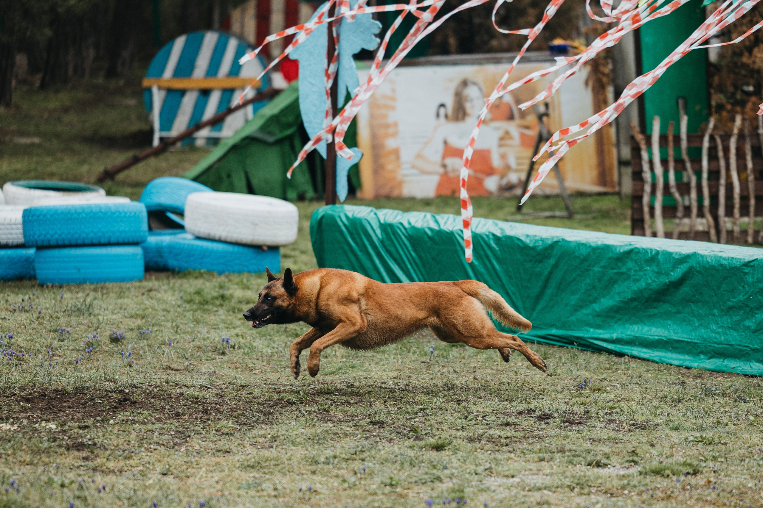 Геленджик Мондьоринг. Фотограф-анималист Анна Маринич