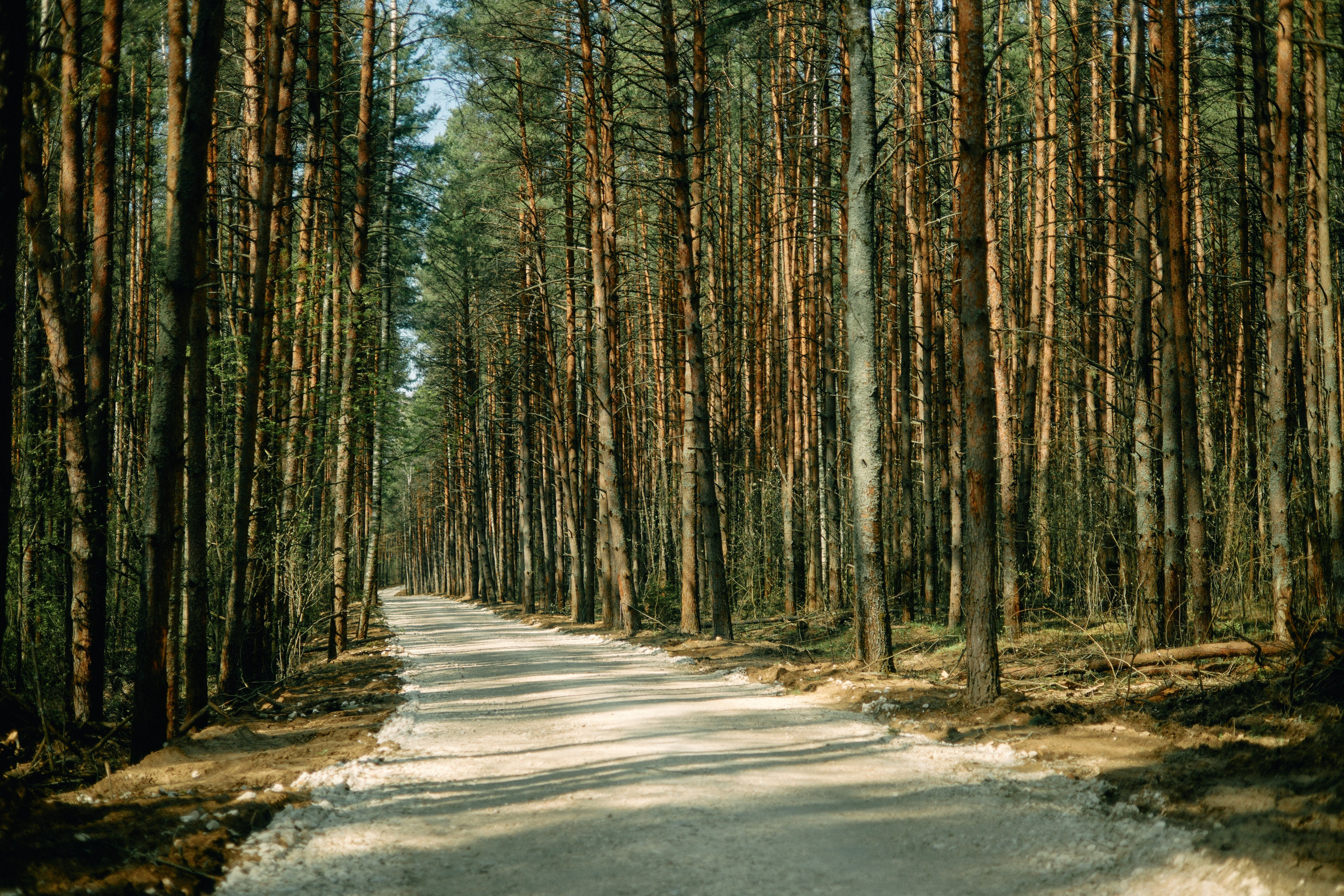 Бутик-отель Поле летом. Профессиональный Фотограф во Владимире, в Москве и в Суздале — Полина Романычева