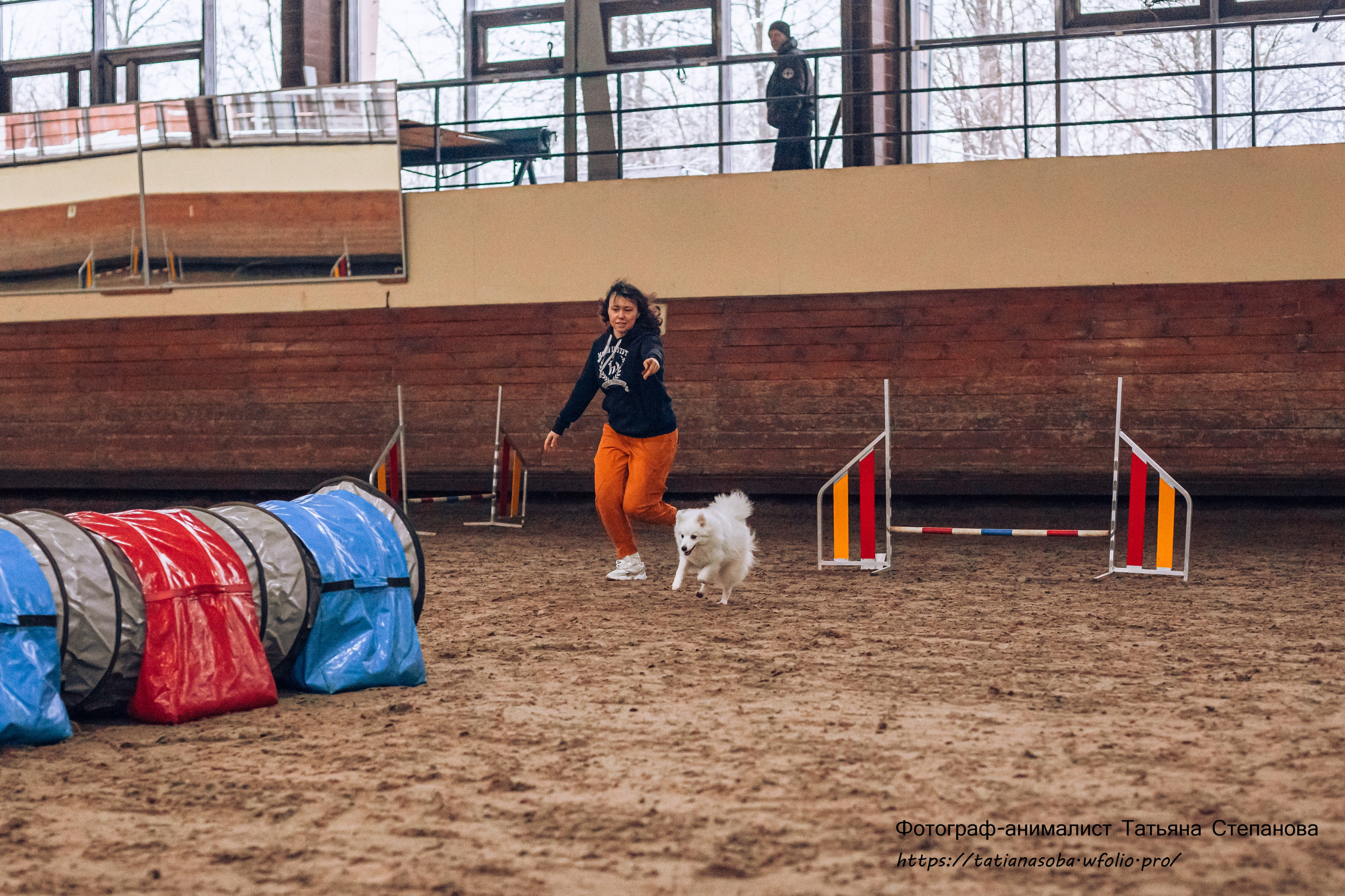Соревнования по Аджилити 25.02.2024. Фотограф-анималист Татьяна Степанова