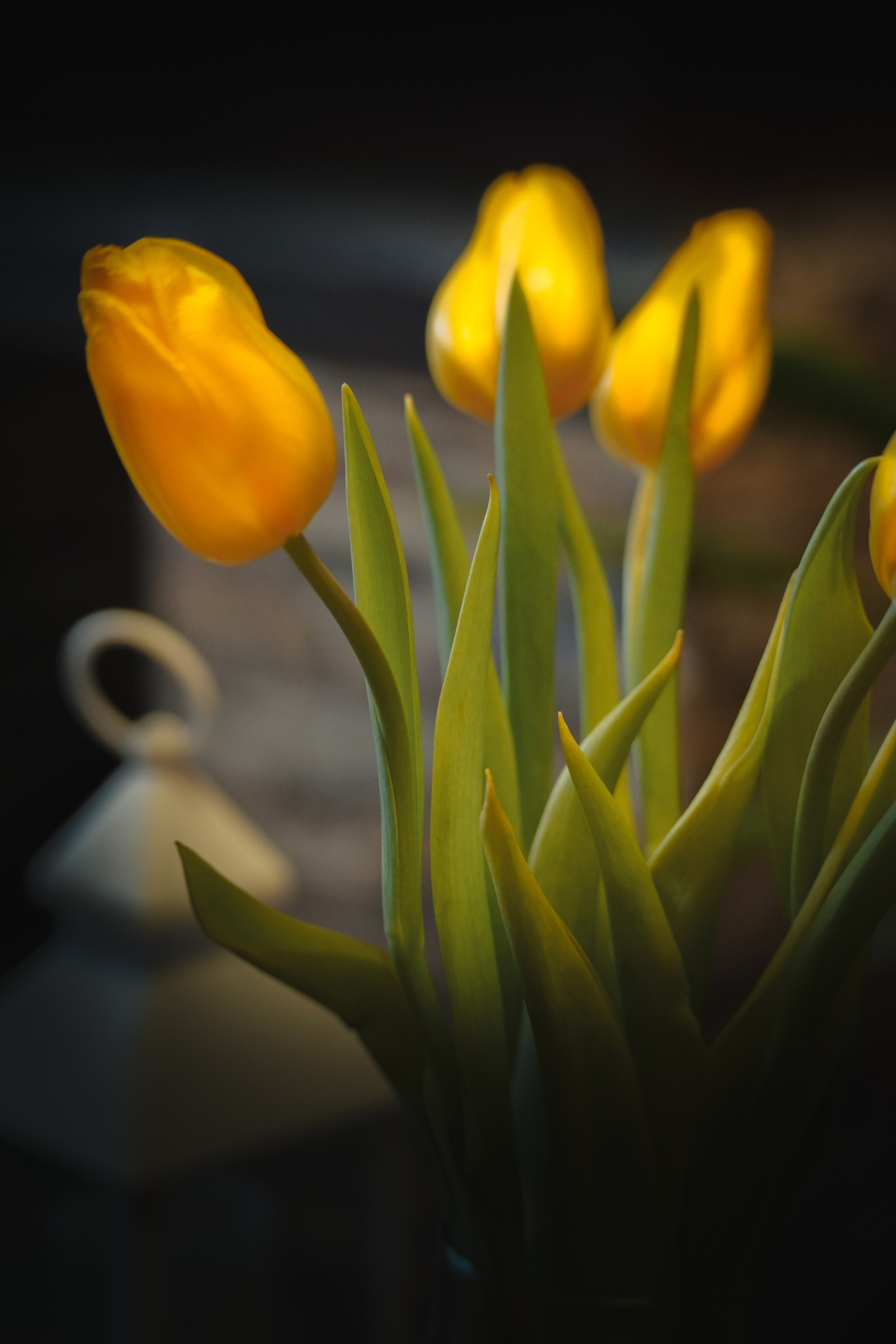 Предметная съёмка. Фотограф в Волгограде и Волжском Анастасия Кальдина