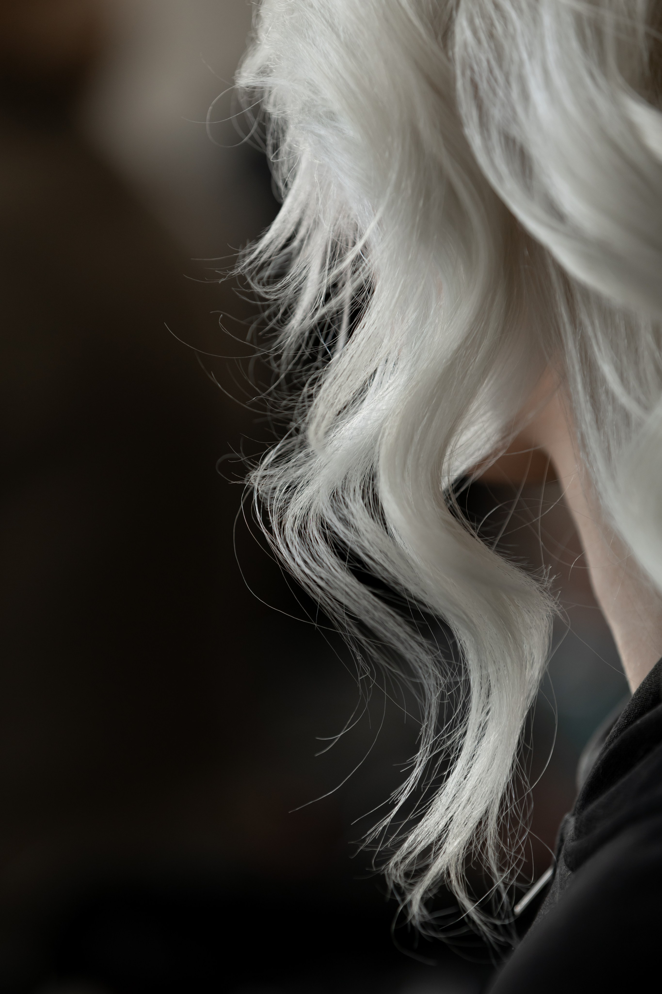 Sigma Fashon Show. Краснодар 2025. Фотограф в Ростов-на-Дону Виктория Савчук