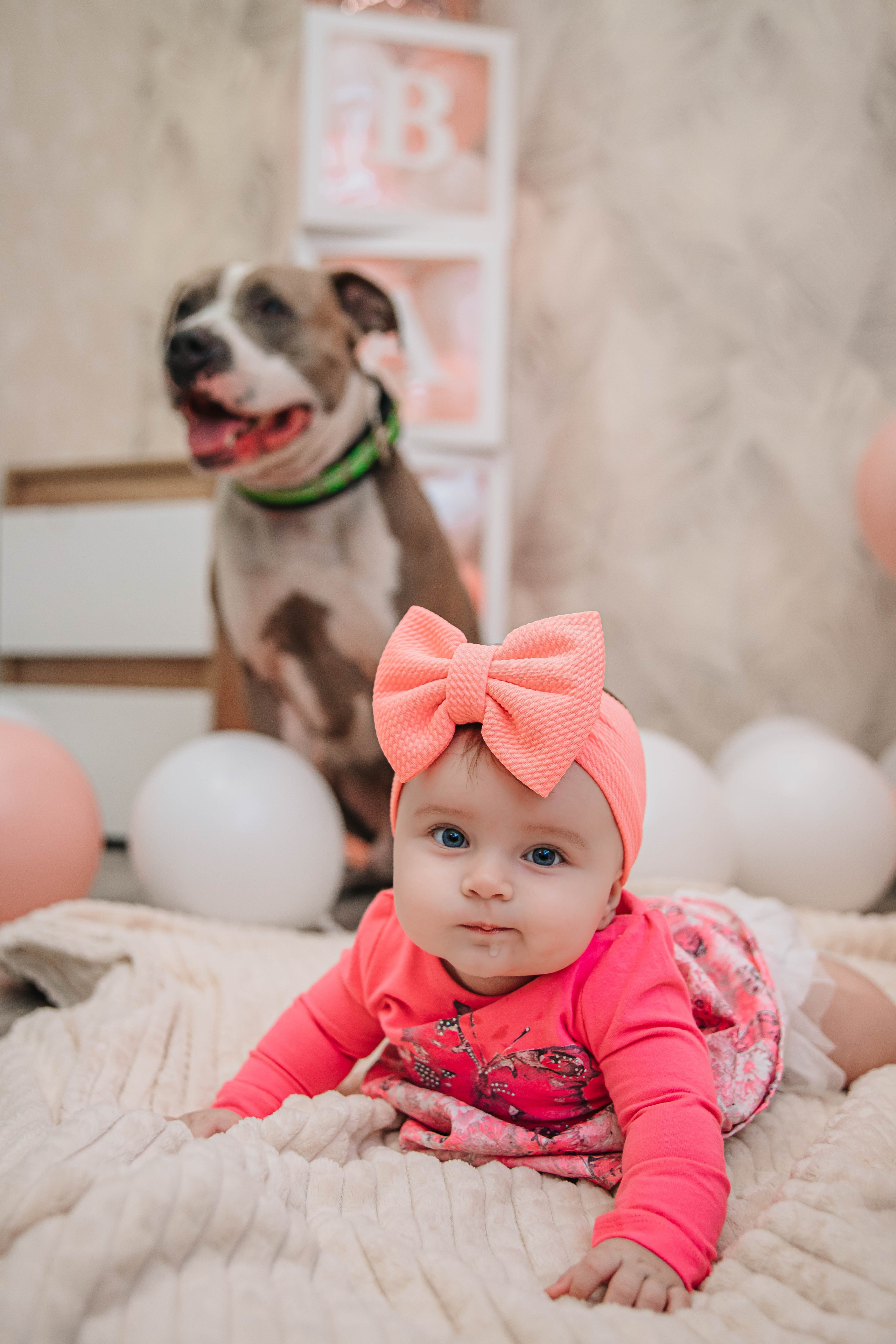 Виталине пол годика!. Фотограф Дарья Маташкова